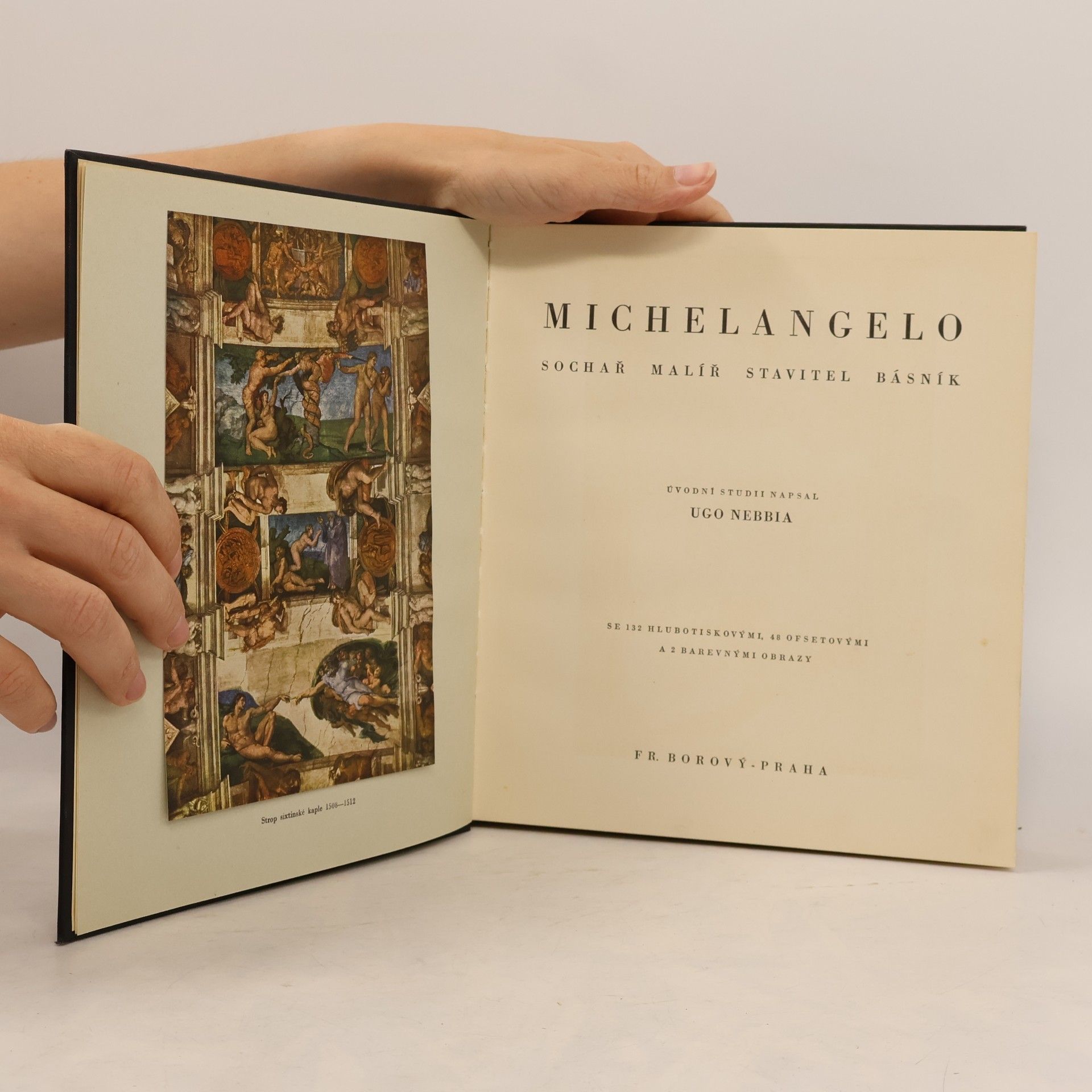 Ugo Nebbia Michelangelo. Sochař, malíř, stavitel, básník