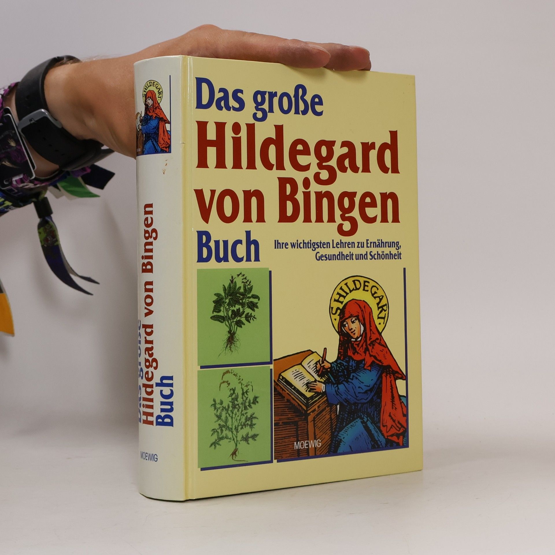 Heidelore Kluge Das große Hildegard-von-Bingen-Buch