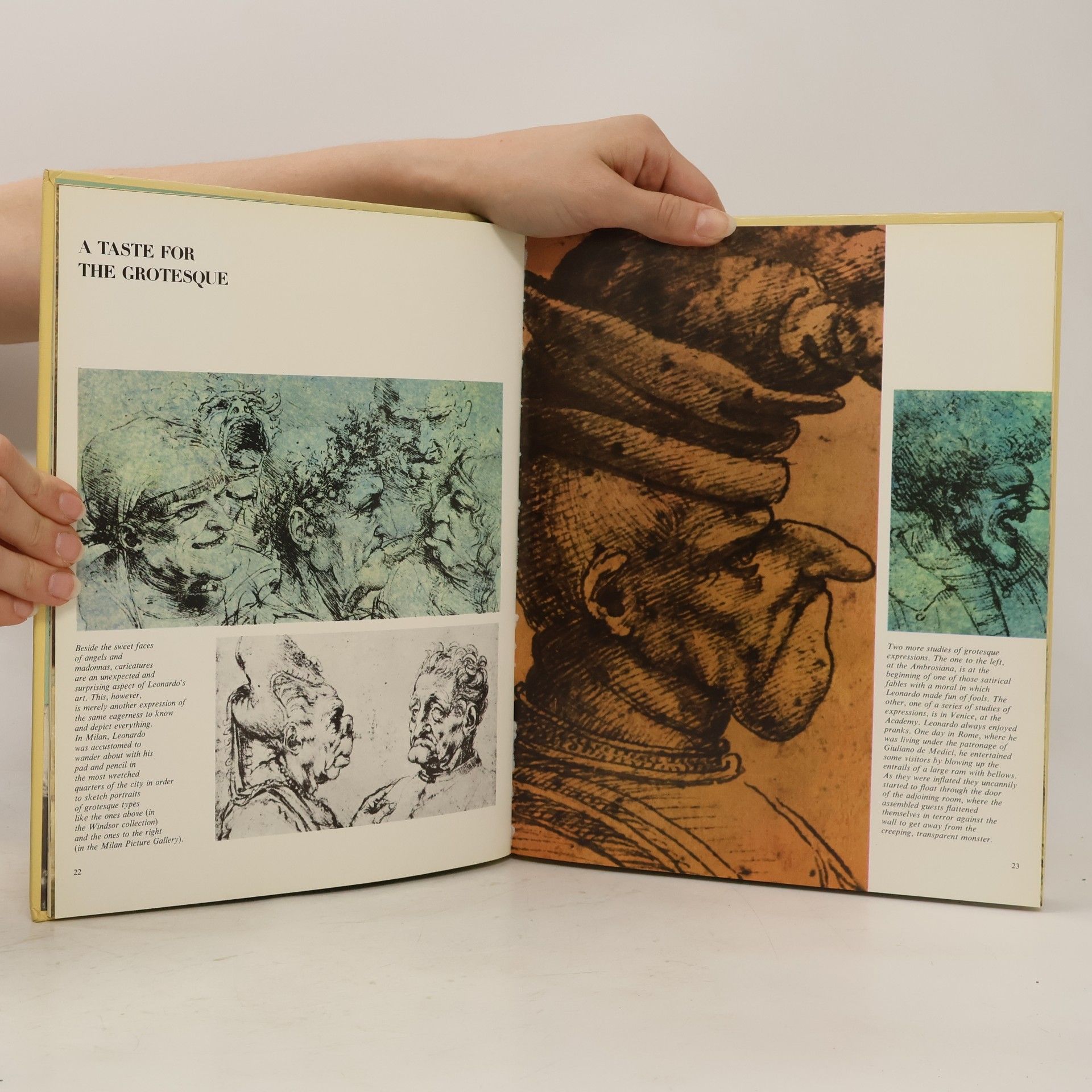 Enzo Orlandi The Life & Times of Leonardo