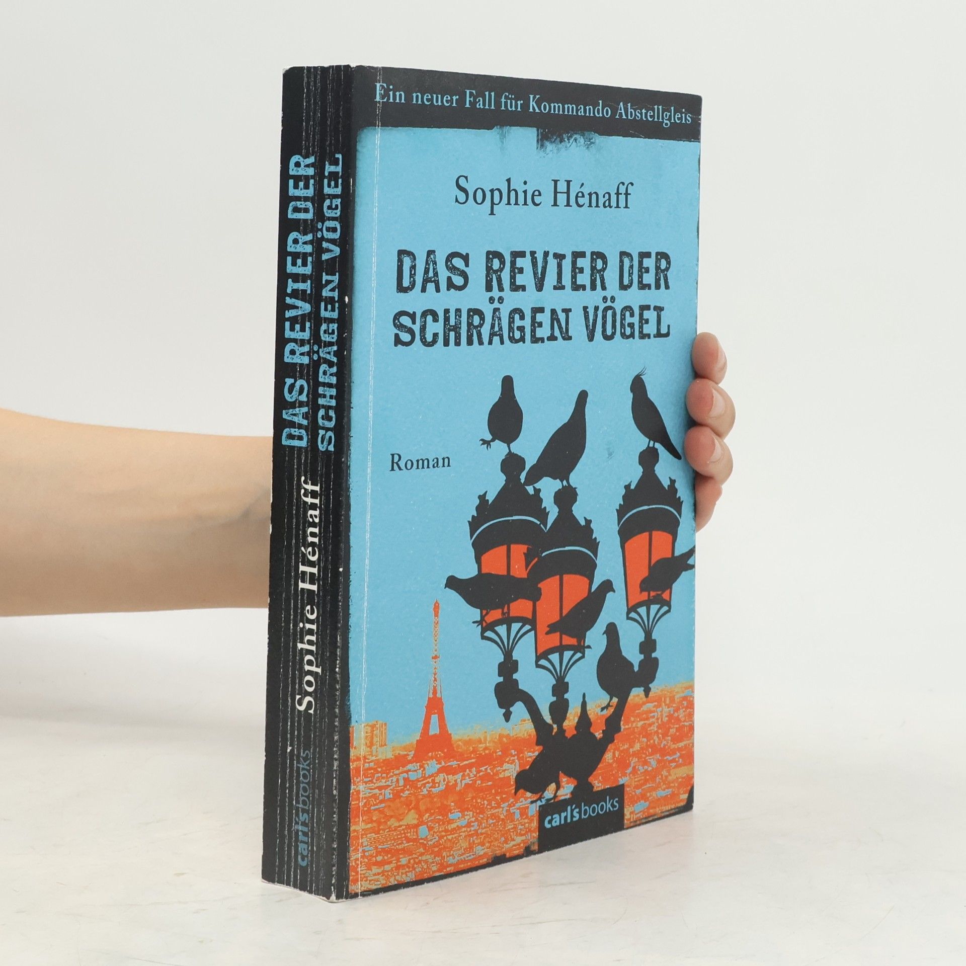 Sophie Hénaff Das Revier der schrägen Vögel