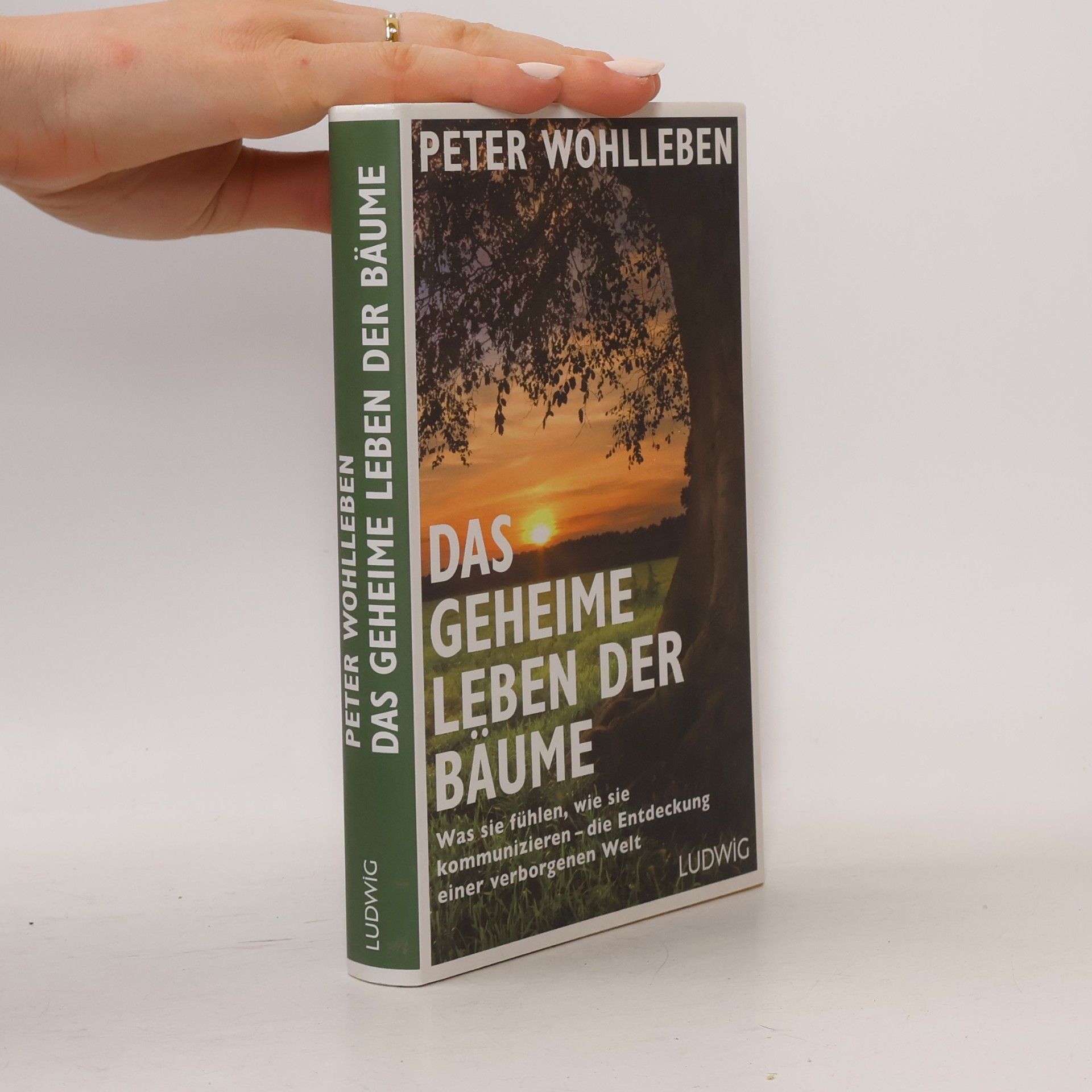 Peter Wohlleben Das geheime Leben der Bäume