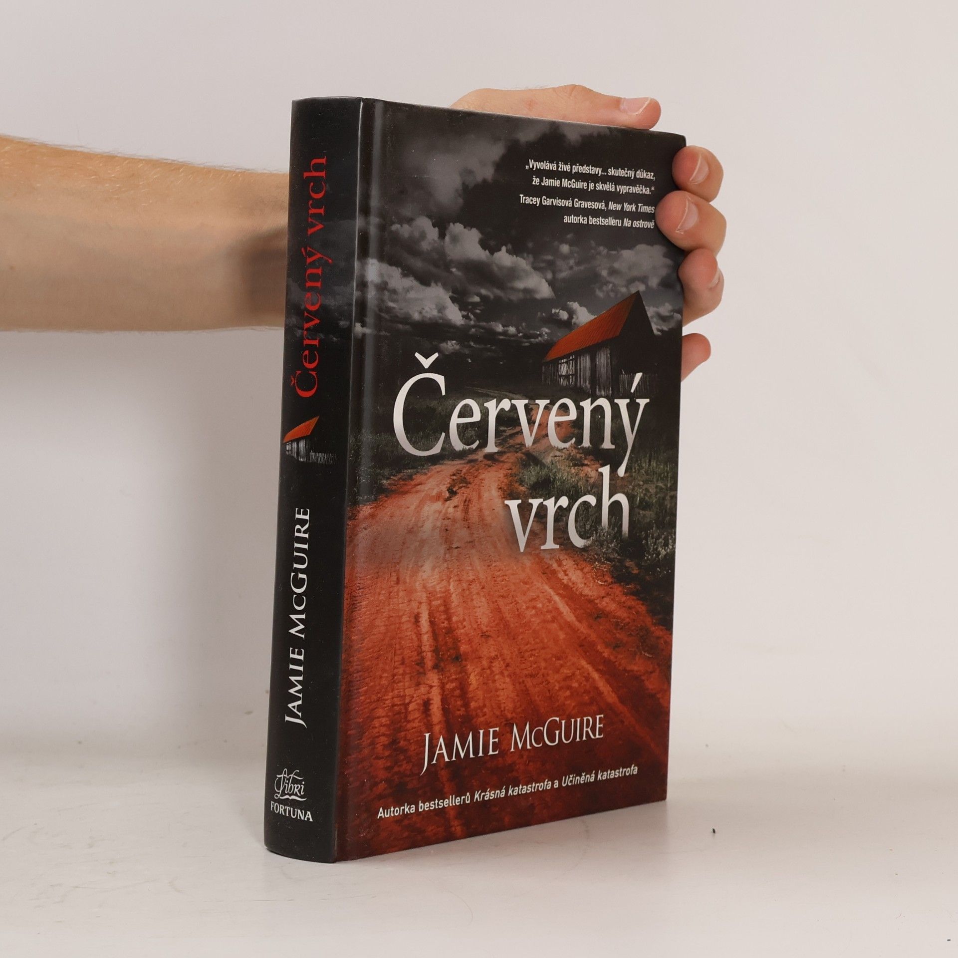 Jamie McGuire Červený vrch