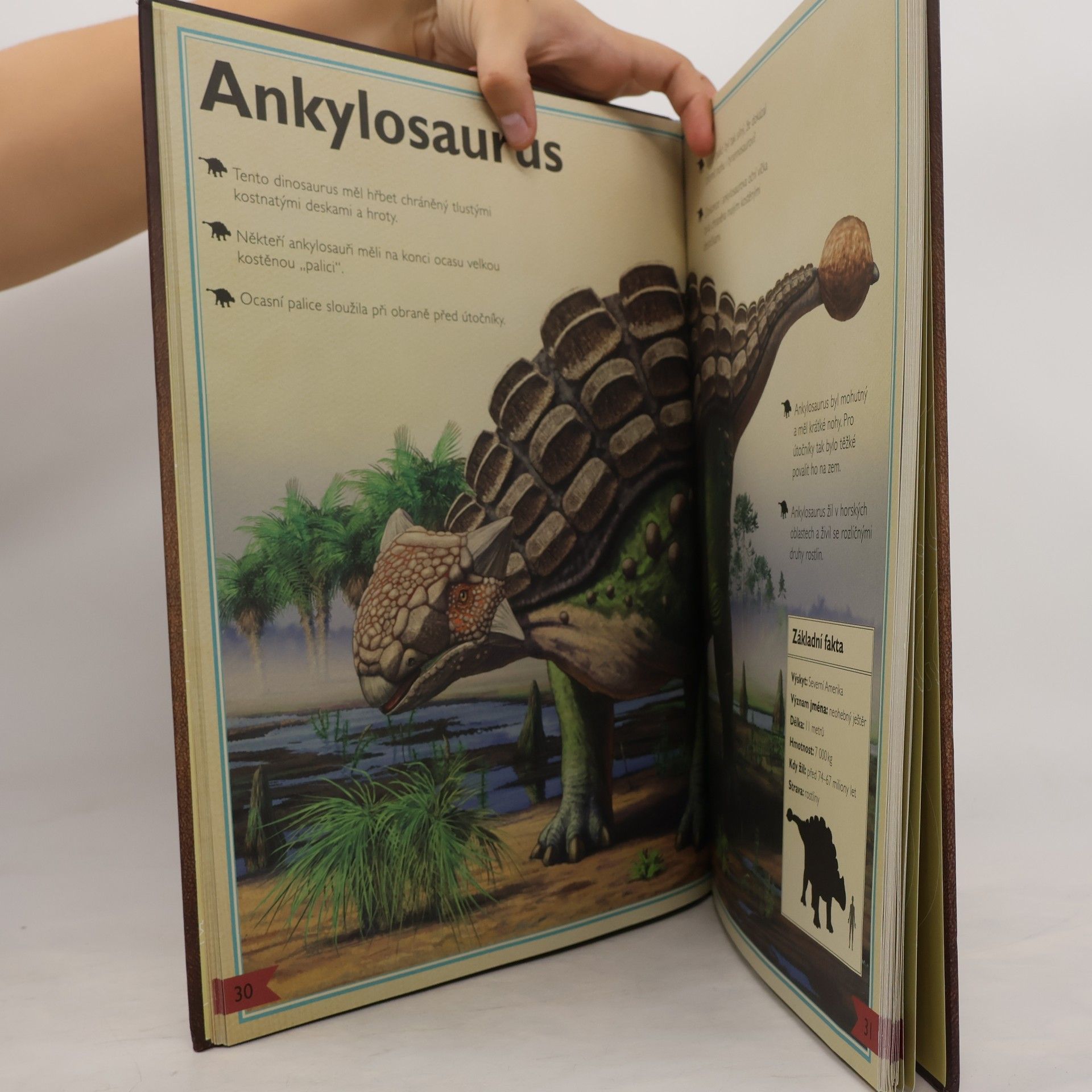 Jackson Tom Velkolepá kniha o dinosaurech