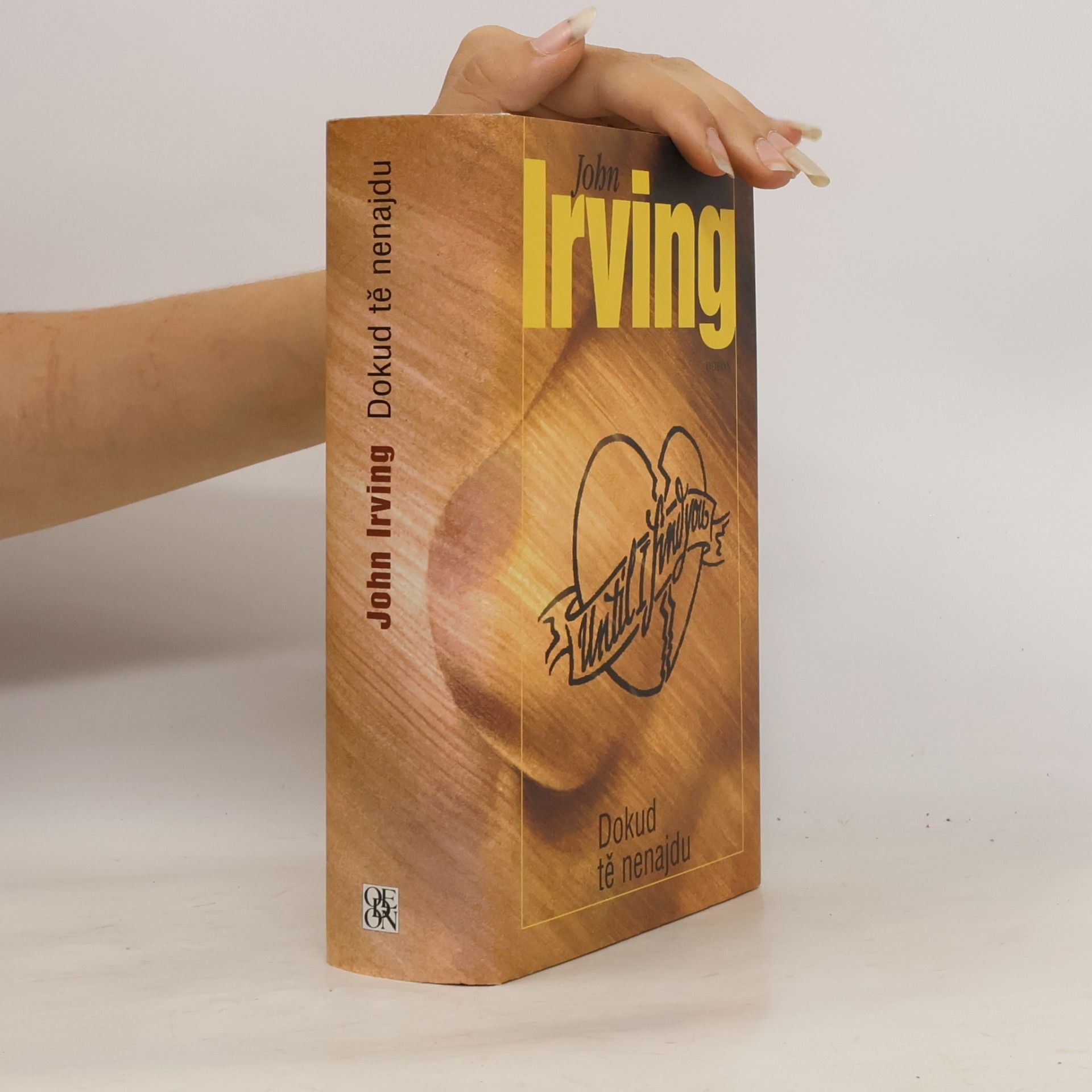 John Irving Dokud tě nenajdu