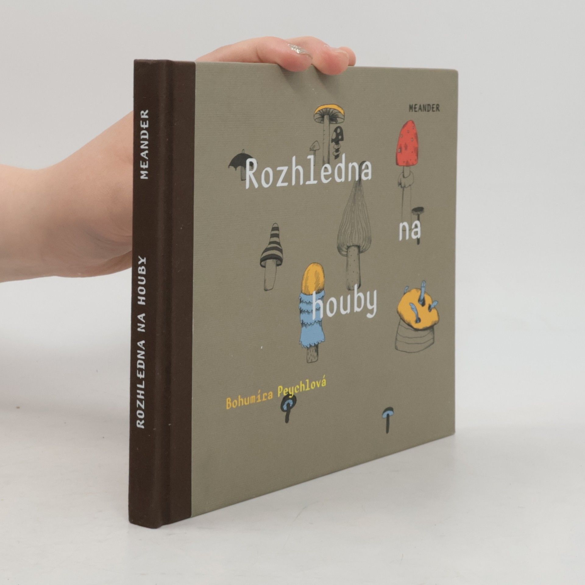 Rozhledna na houby