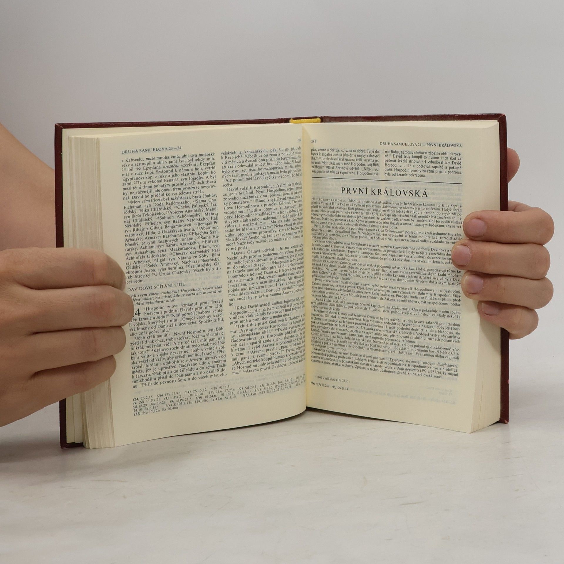 Kolektiv autorů Bible. Písmo svaté Starého a Nového zákona