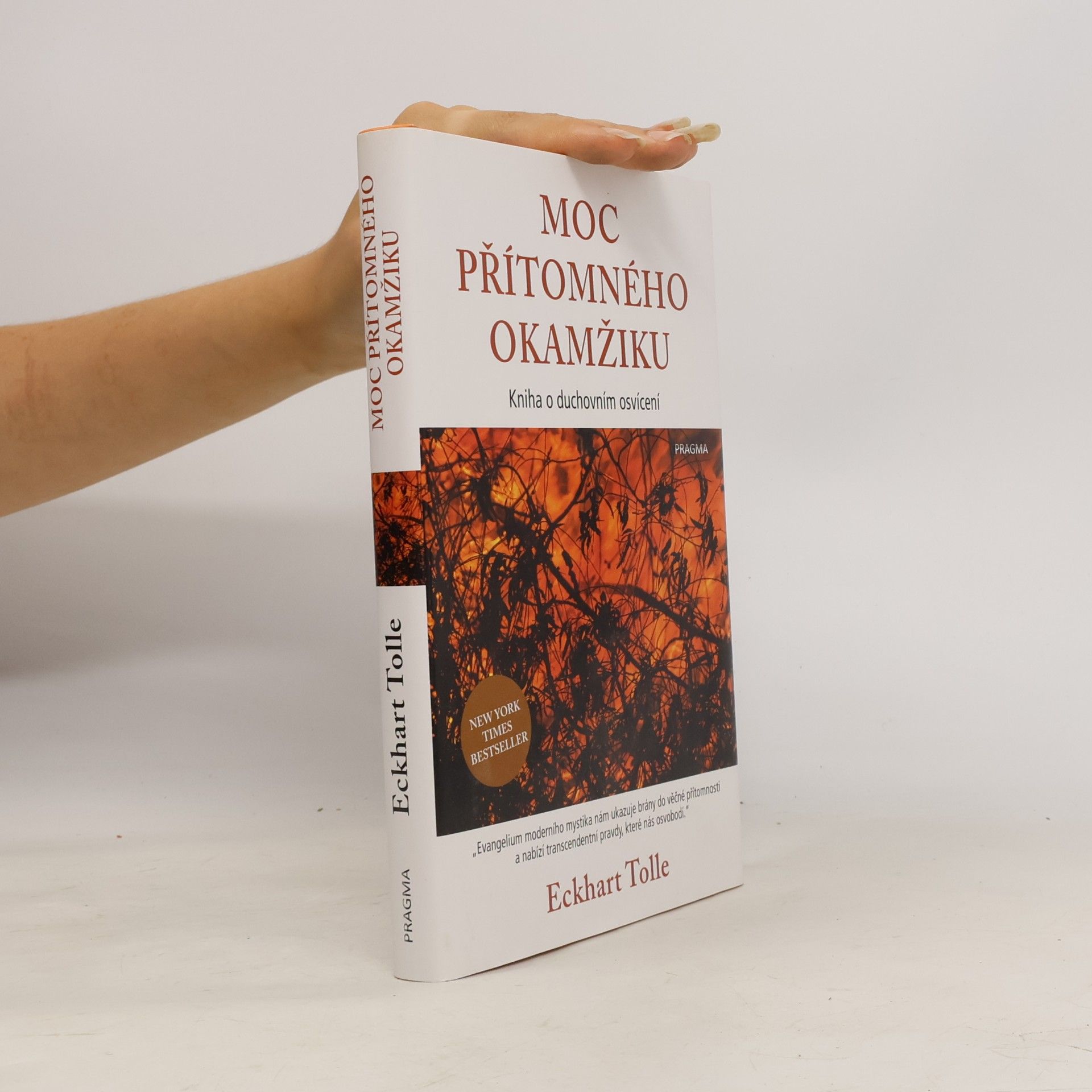 Eckhart Tolle Moc přítomného okamžiku