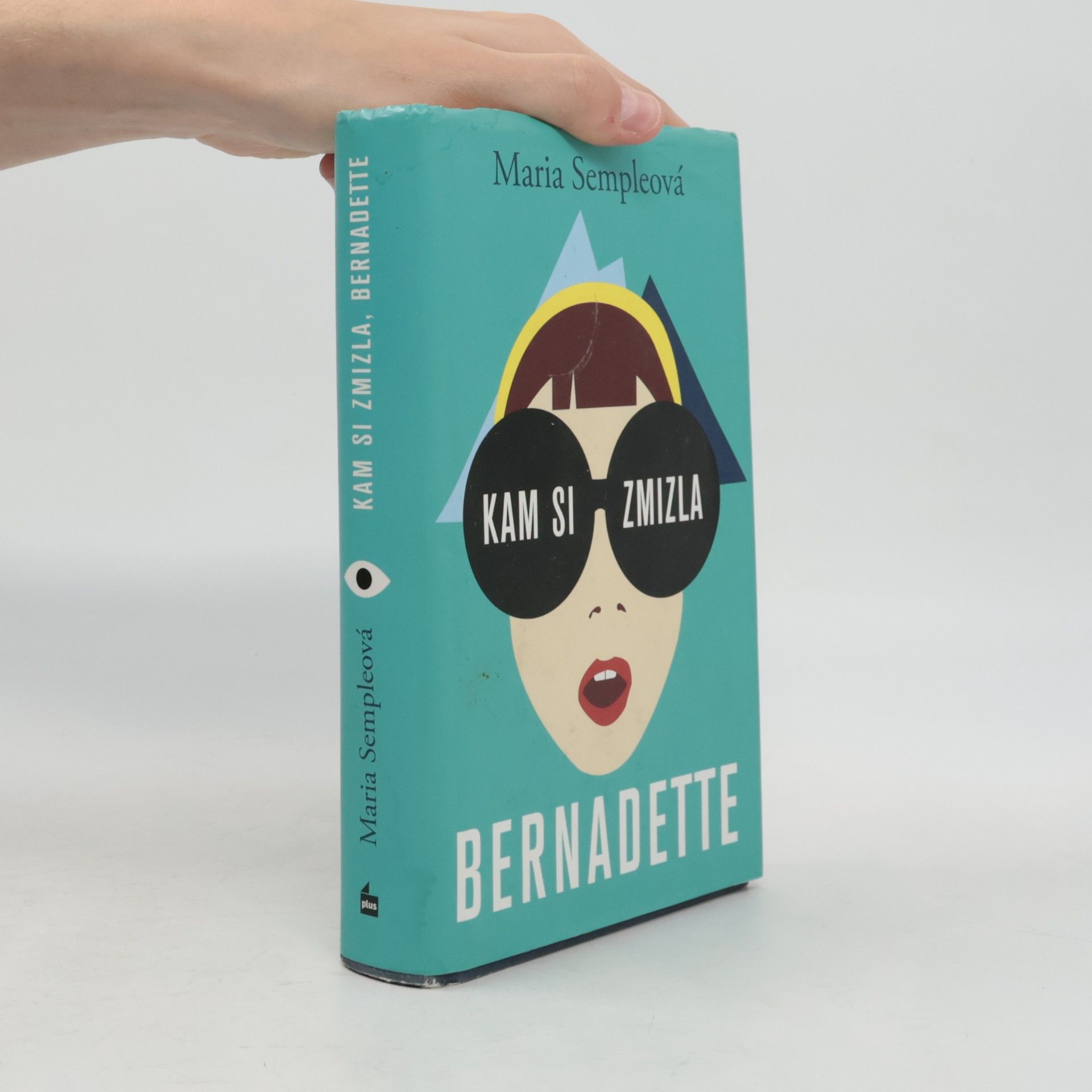 Maria Semple Kam si zmizla, Bernadette