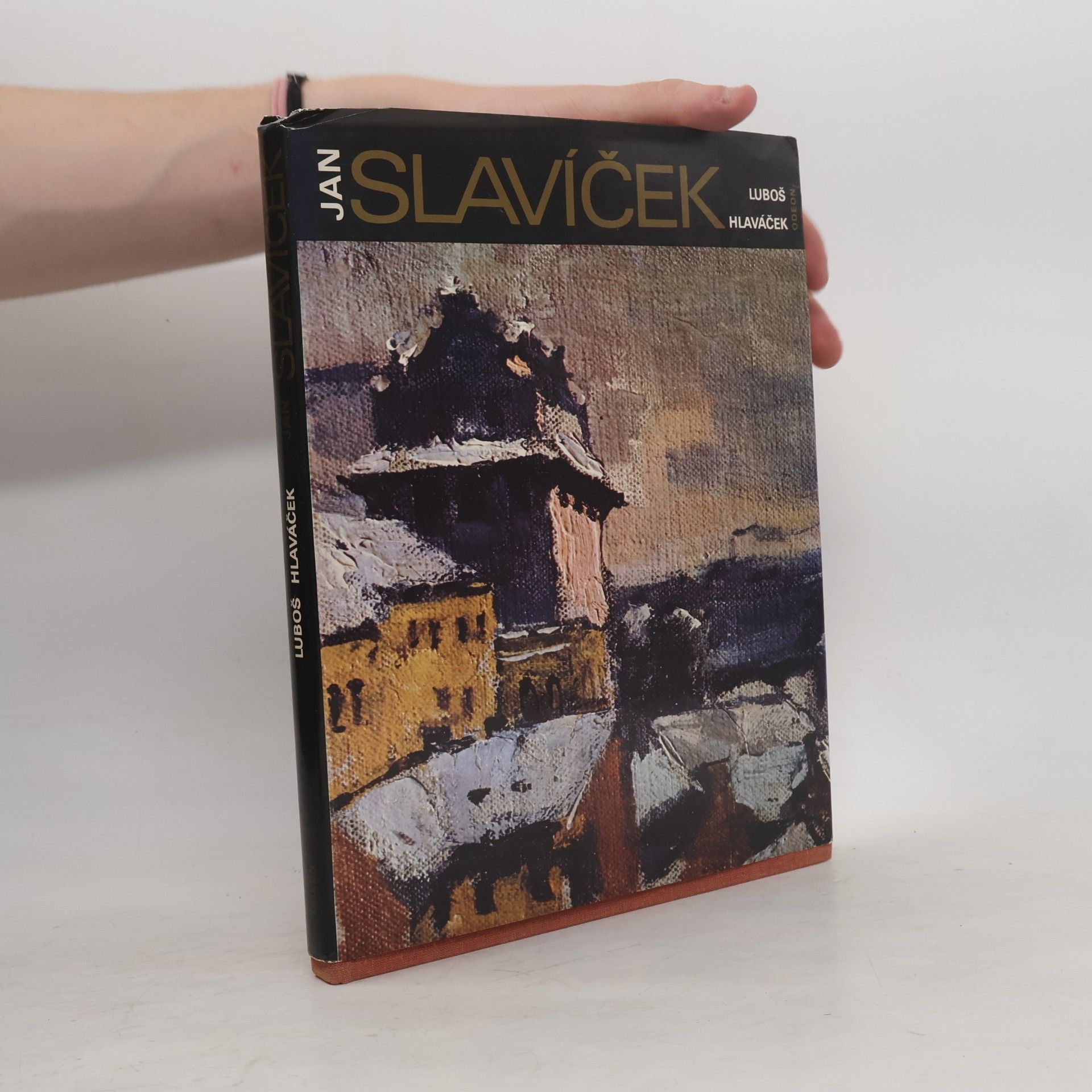 Luboš Hlaváček Jan Slavíček
