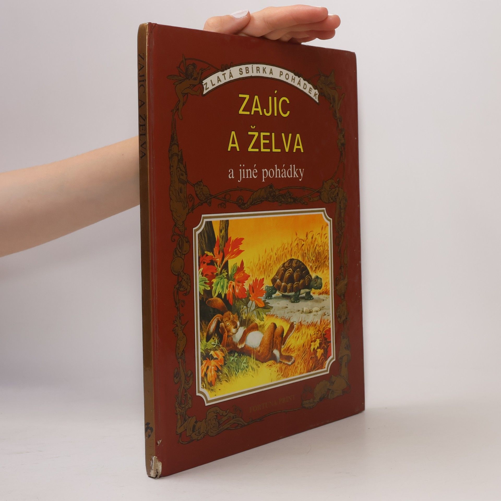 Autores varios Zajíc a želva a jiné pohádky