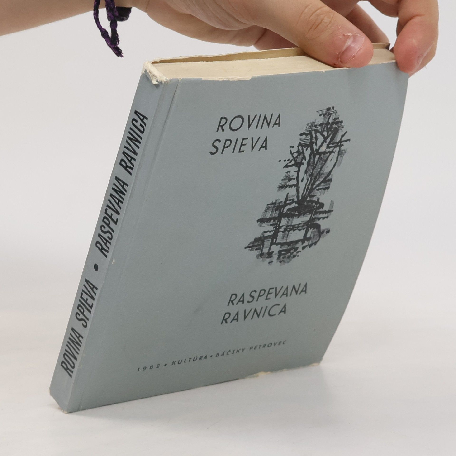 Autorenkollektiv Rovina spieva = Raspevana ravnica