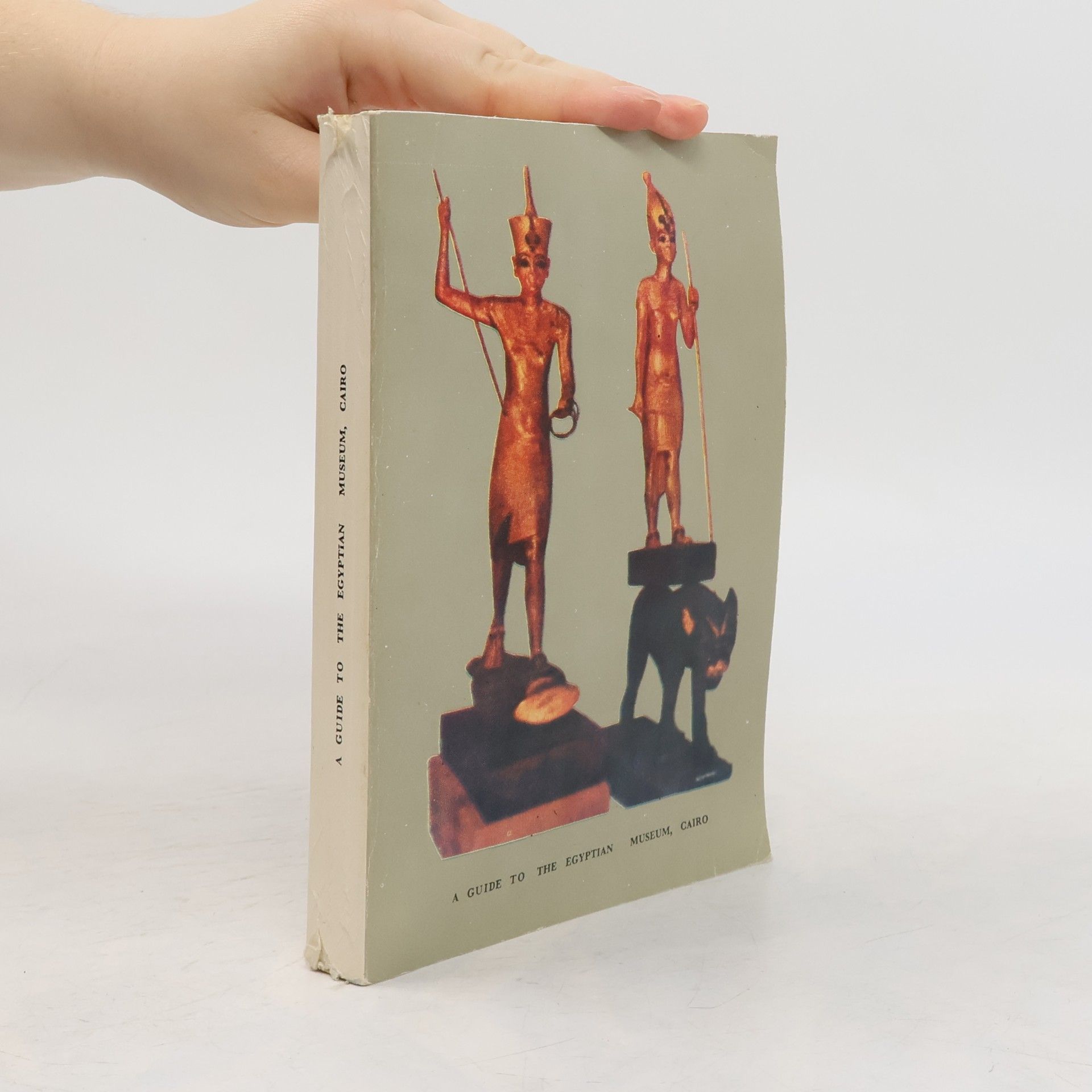 Various authors A Guide to the Egyptian Museum, Cairo