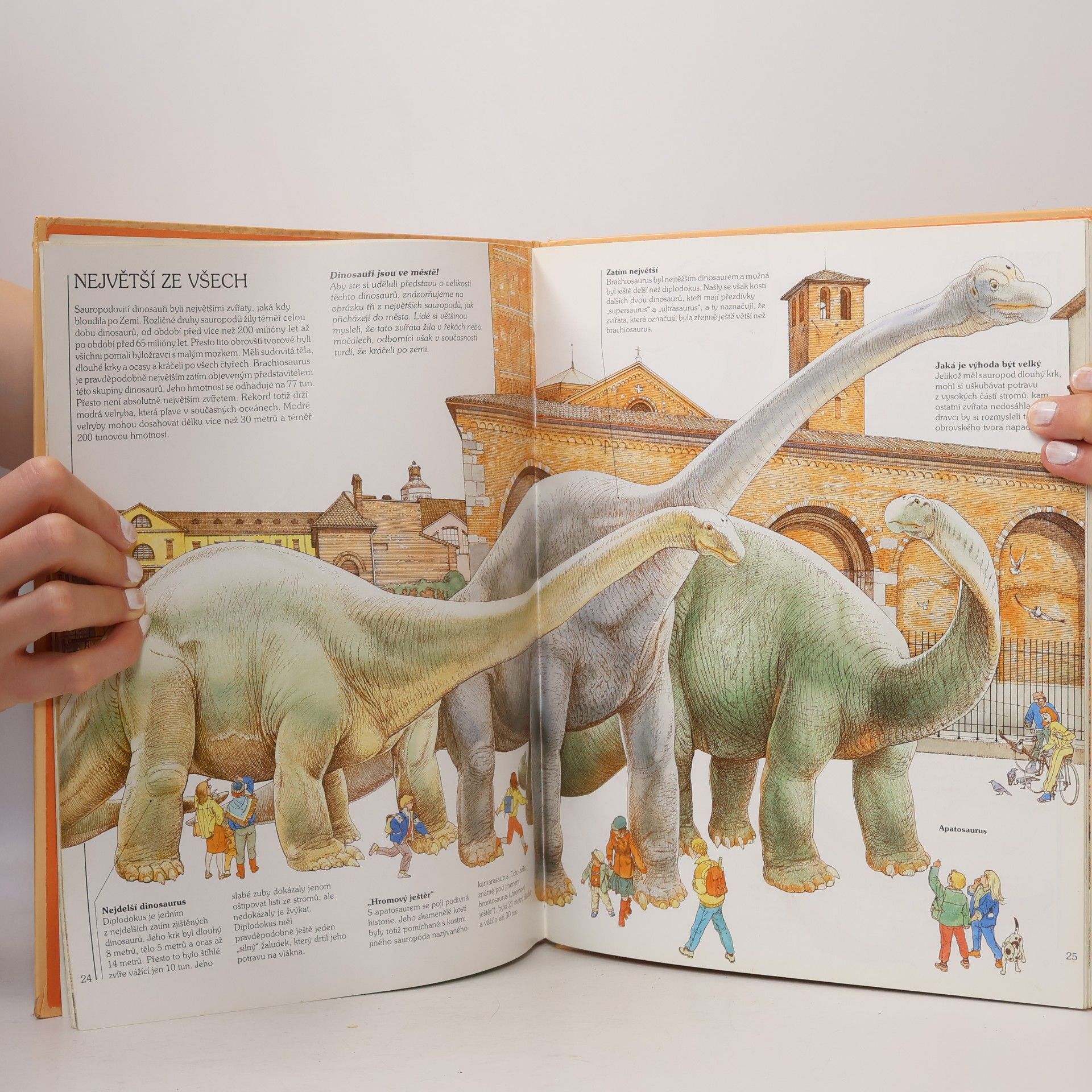 Steve Parker Jak žili dinosauři