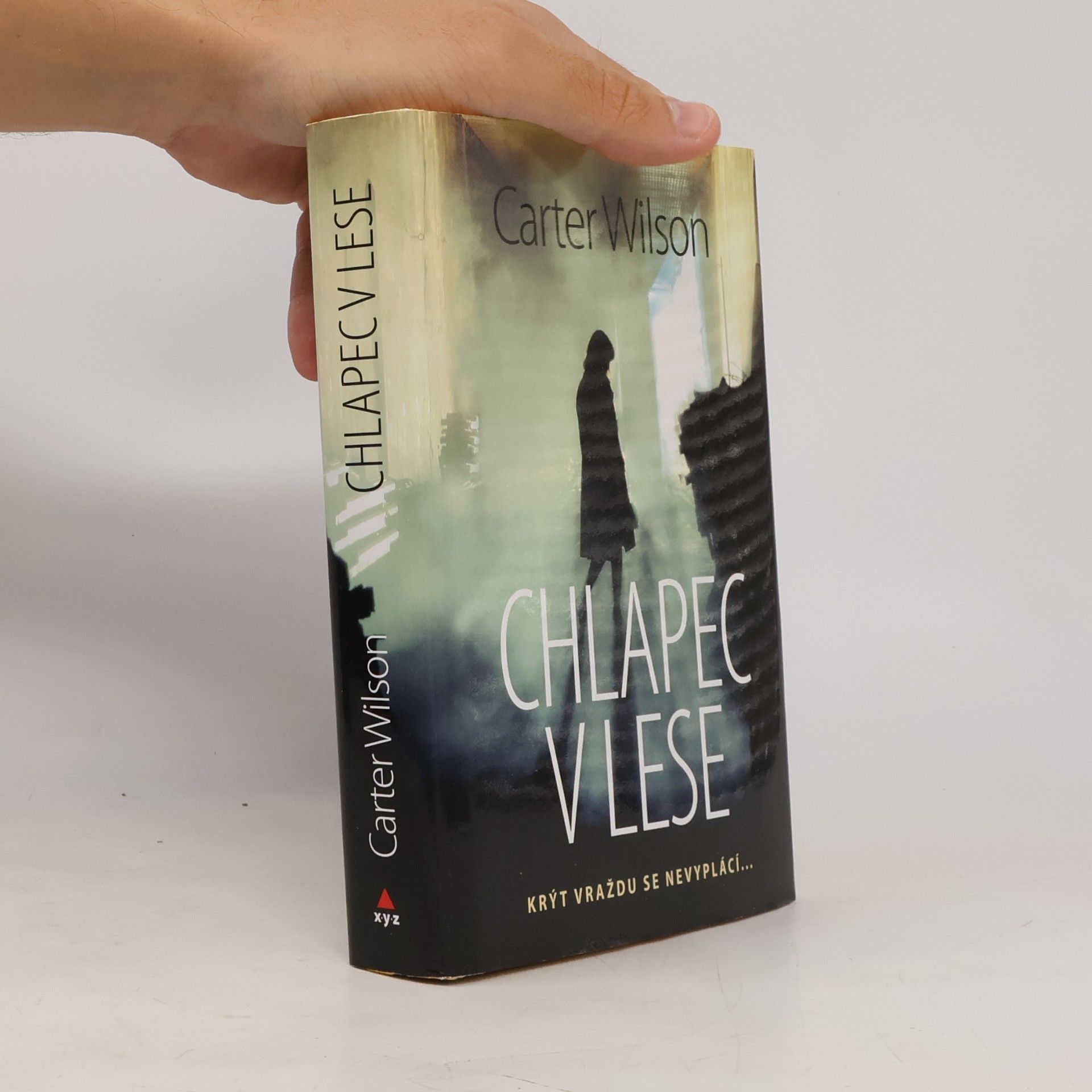 Chlapec v lese : krýt vraždu se nevyplácí...