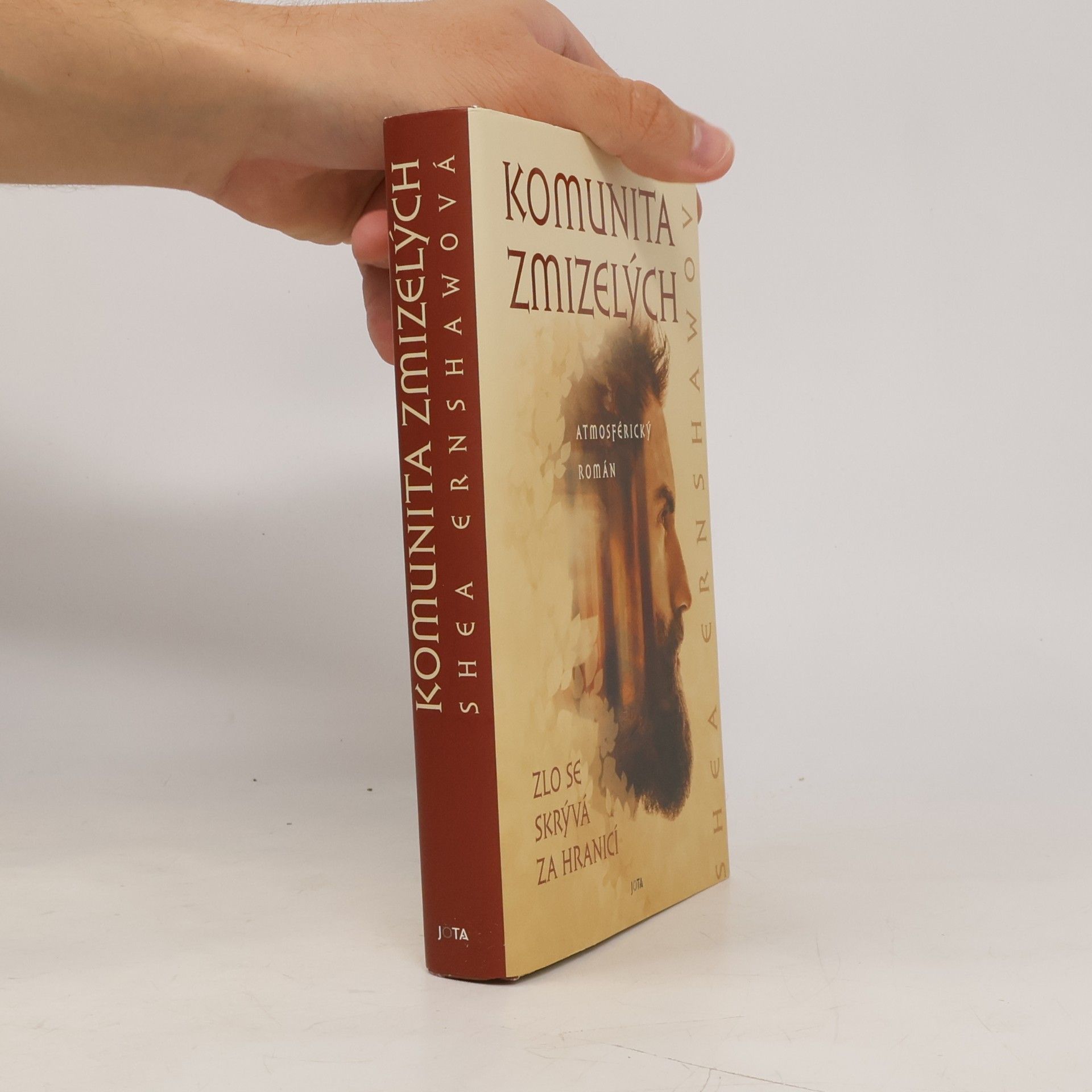 Shea Ernshaw Komunita zmizelých