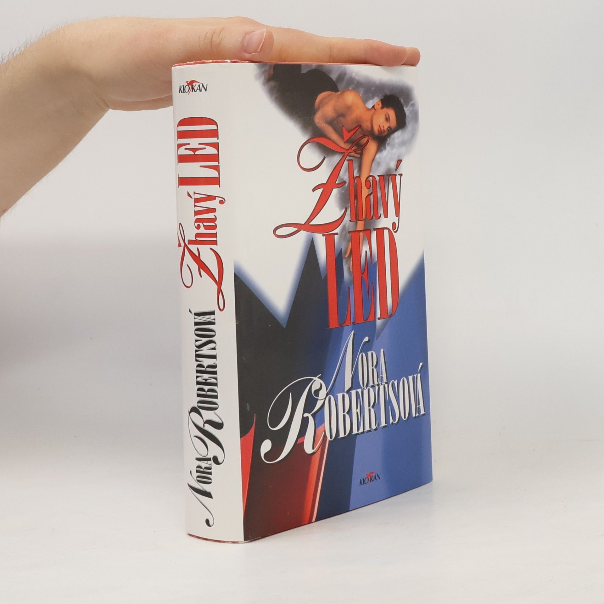 Nora Roberts Žhavý led