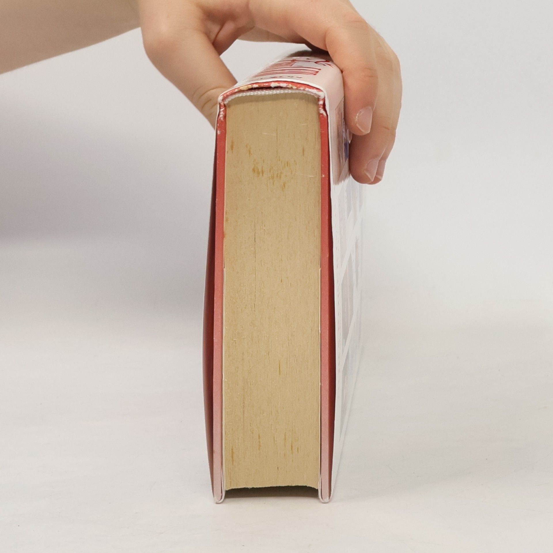 Nora Roberts Žhavý led