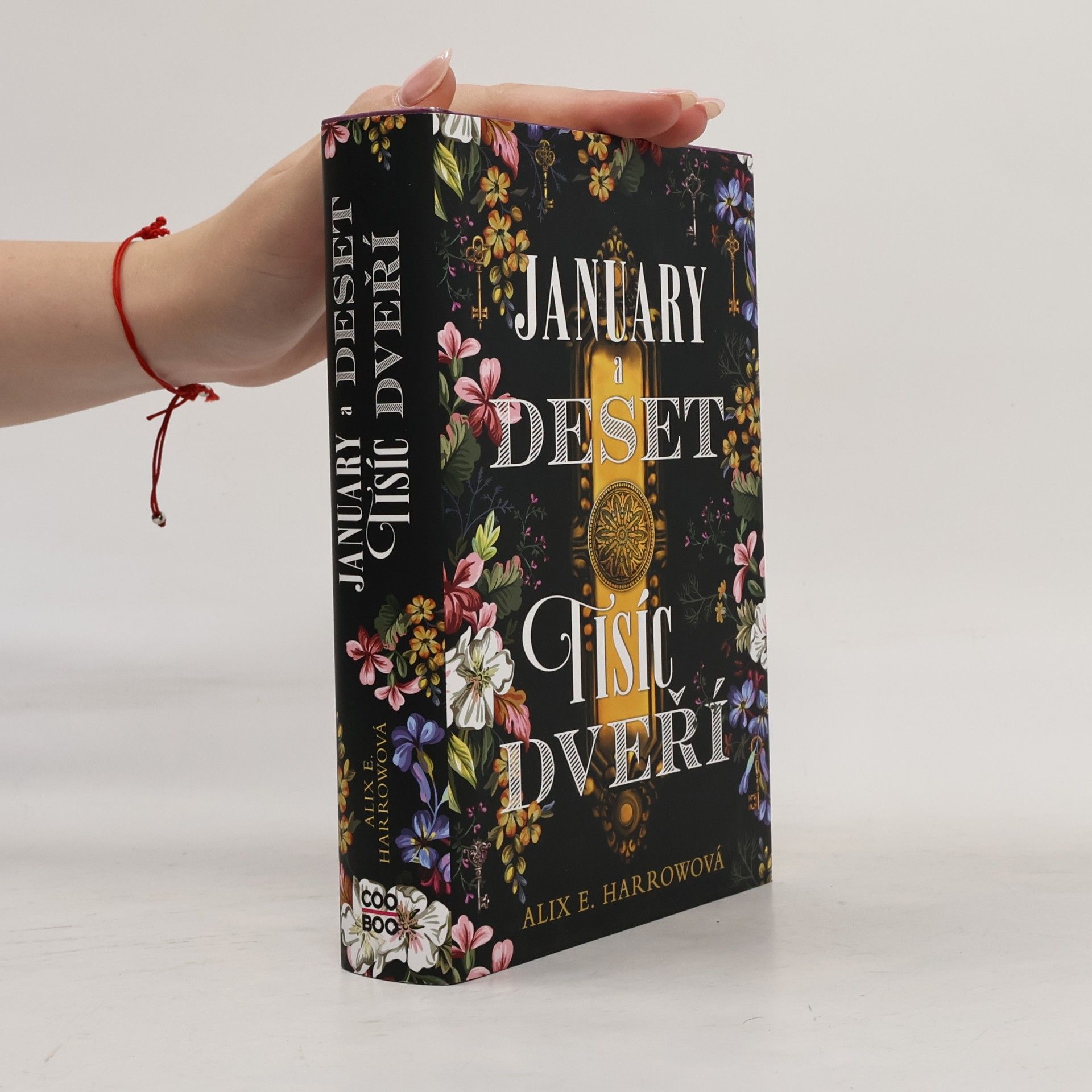 Alix E. Harrow January a Deset tisíc dveří