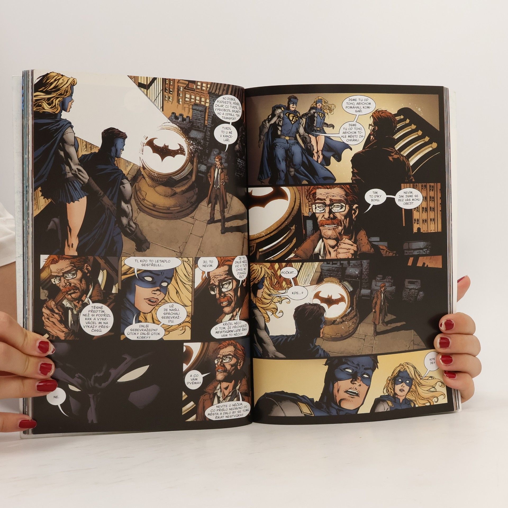 Autores varios Batman. 1. díl, Já jsem Gotham