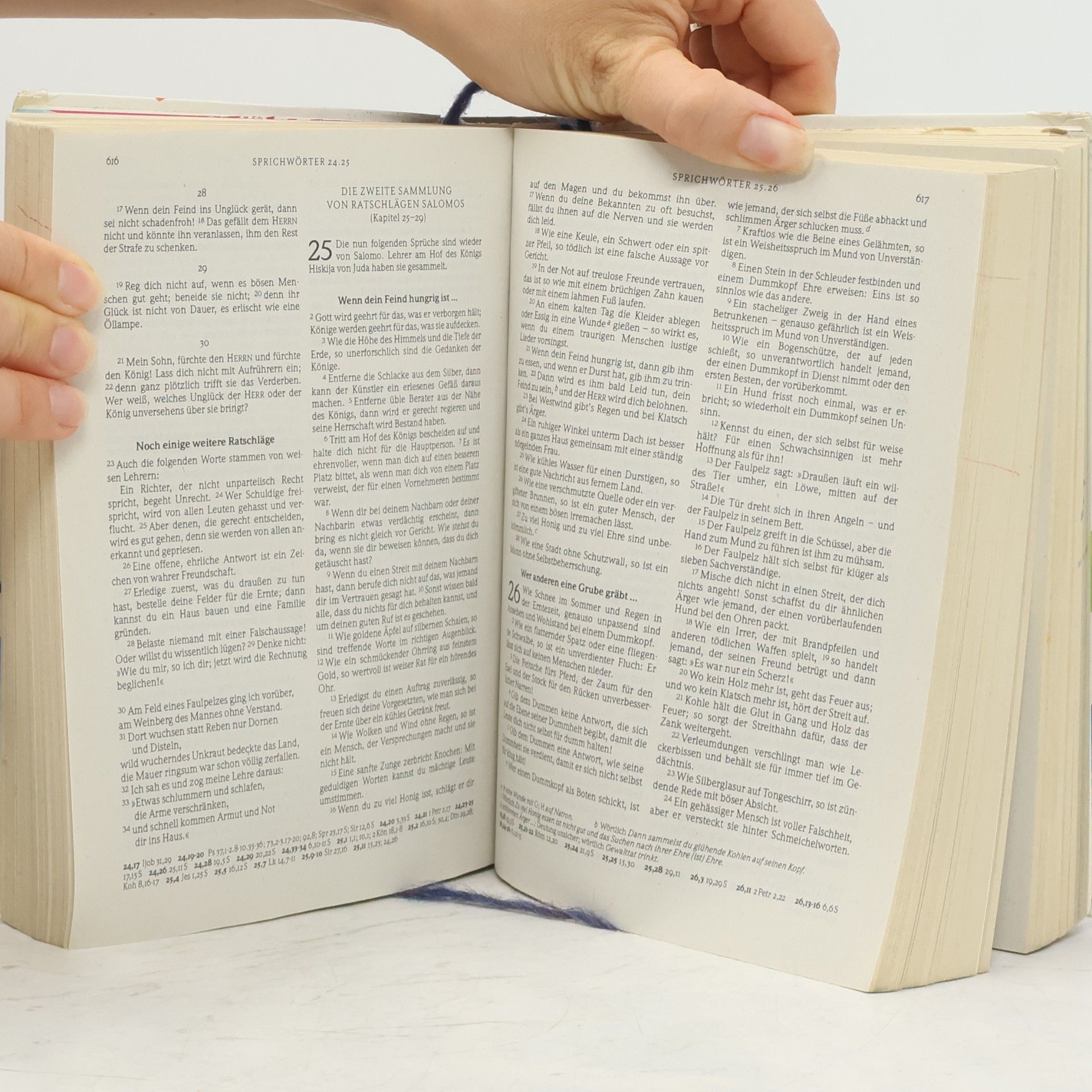Auteurscollectief Die Bibel: Gute Nachricht für dich