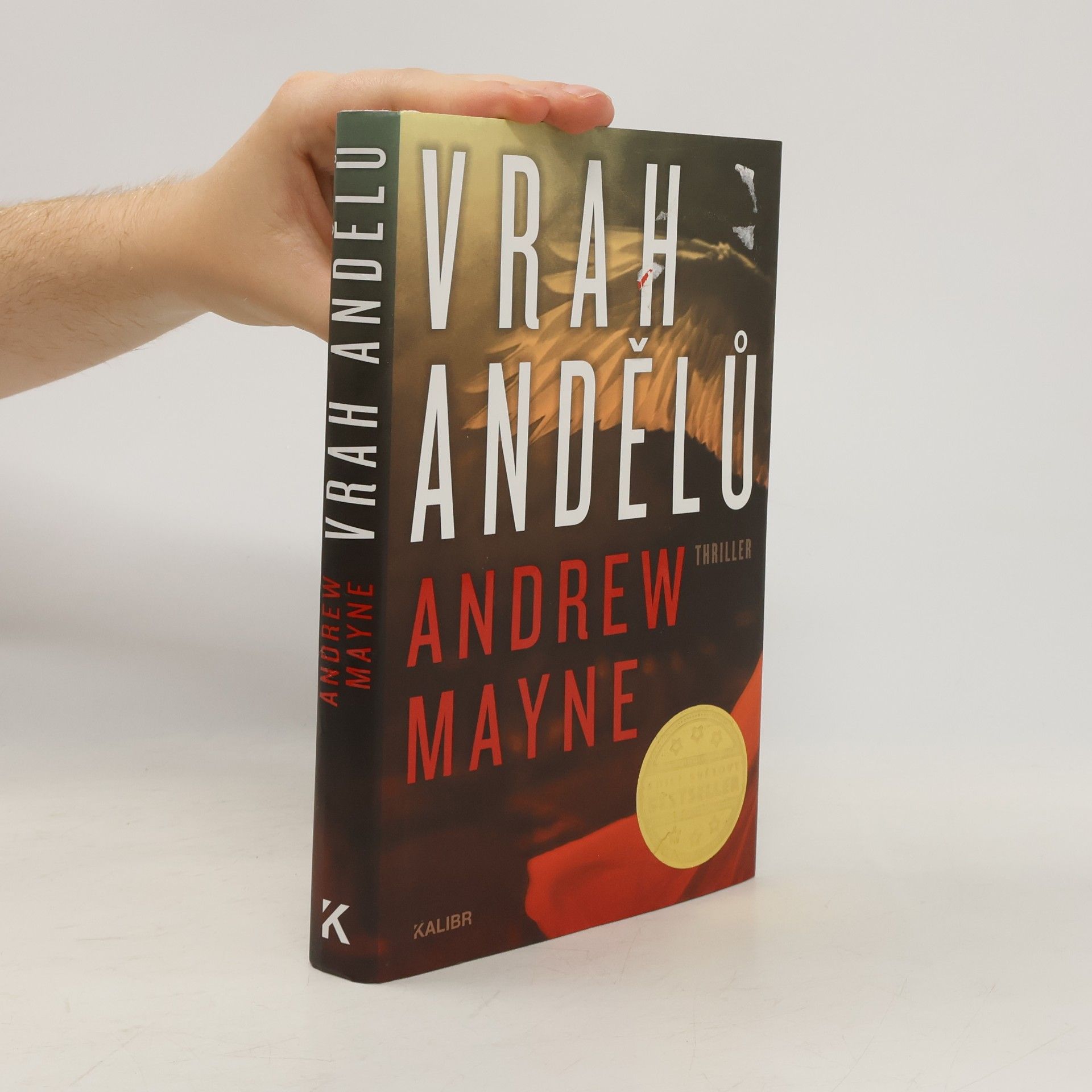 Andrew Mayne Vrah andělů