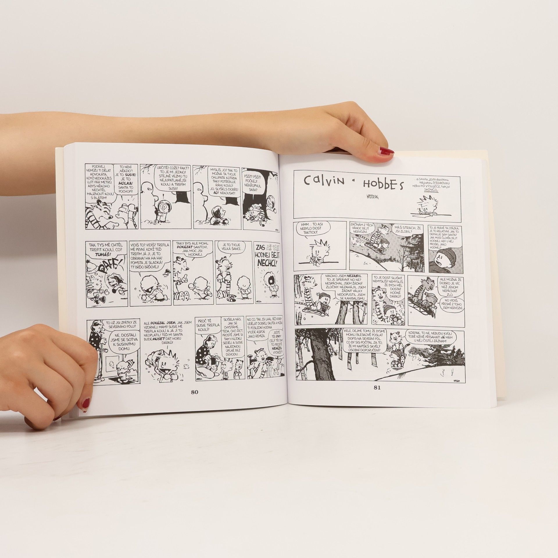 Bill Watterson II Útok vyšinutých zmutovaných zabijáckých obludných sněhuláků