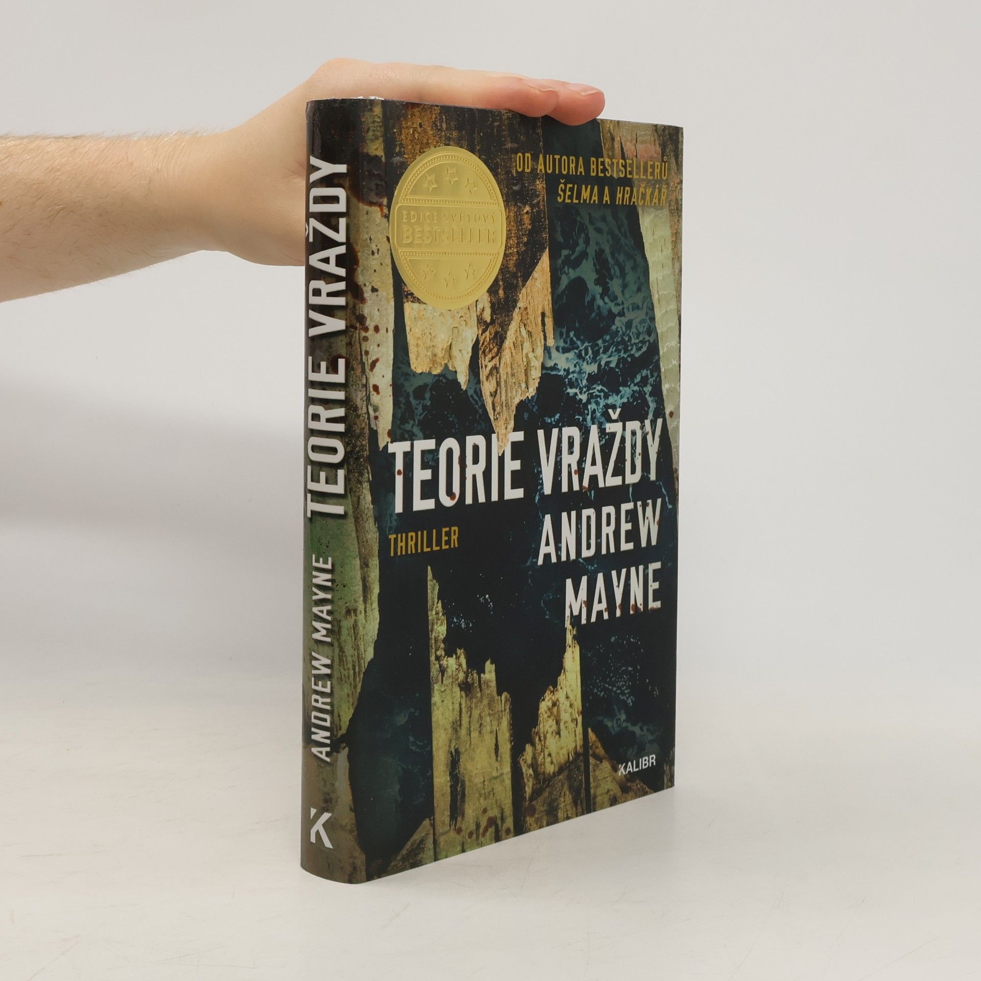 Andrew Mayne Teorie vraždy