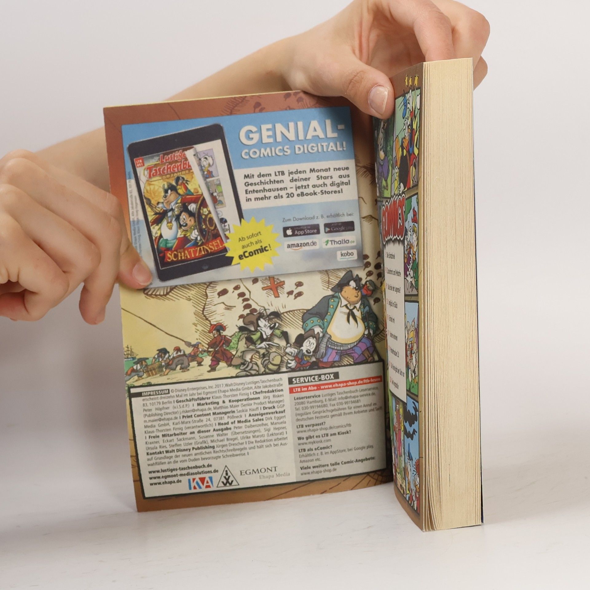 Walt Disney Lustiges Taschenbuch 491. Die Schatzinsel