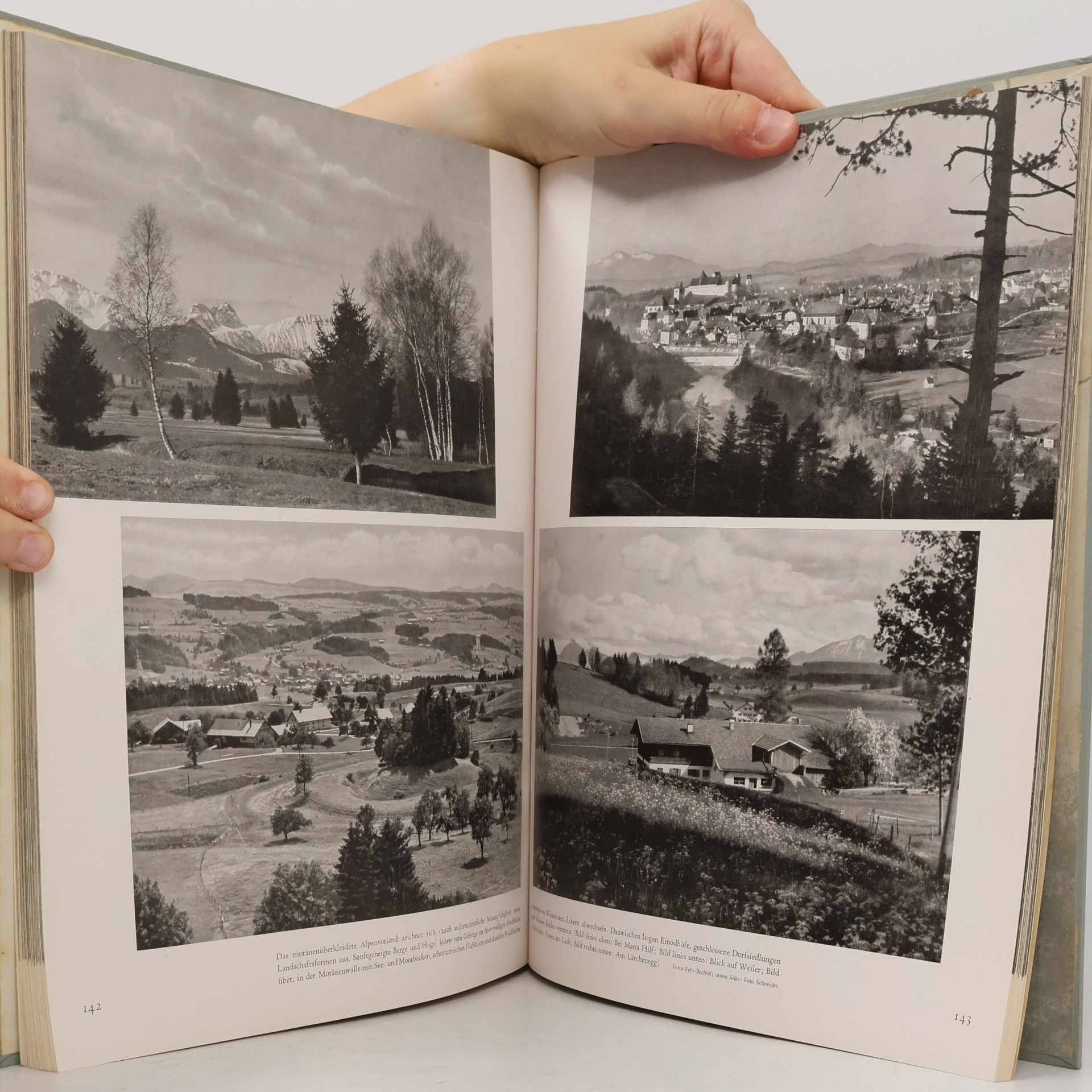 Theodor Müller Alfred Das Bild der Heimat