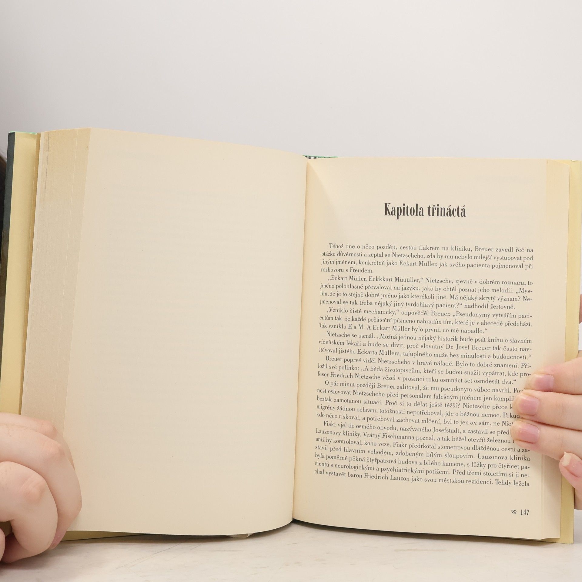 Irvin Yalom Když Nietzsche plakal