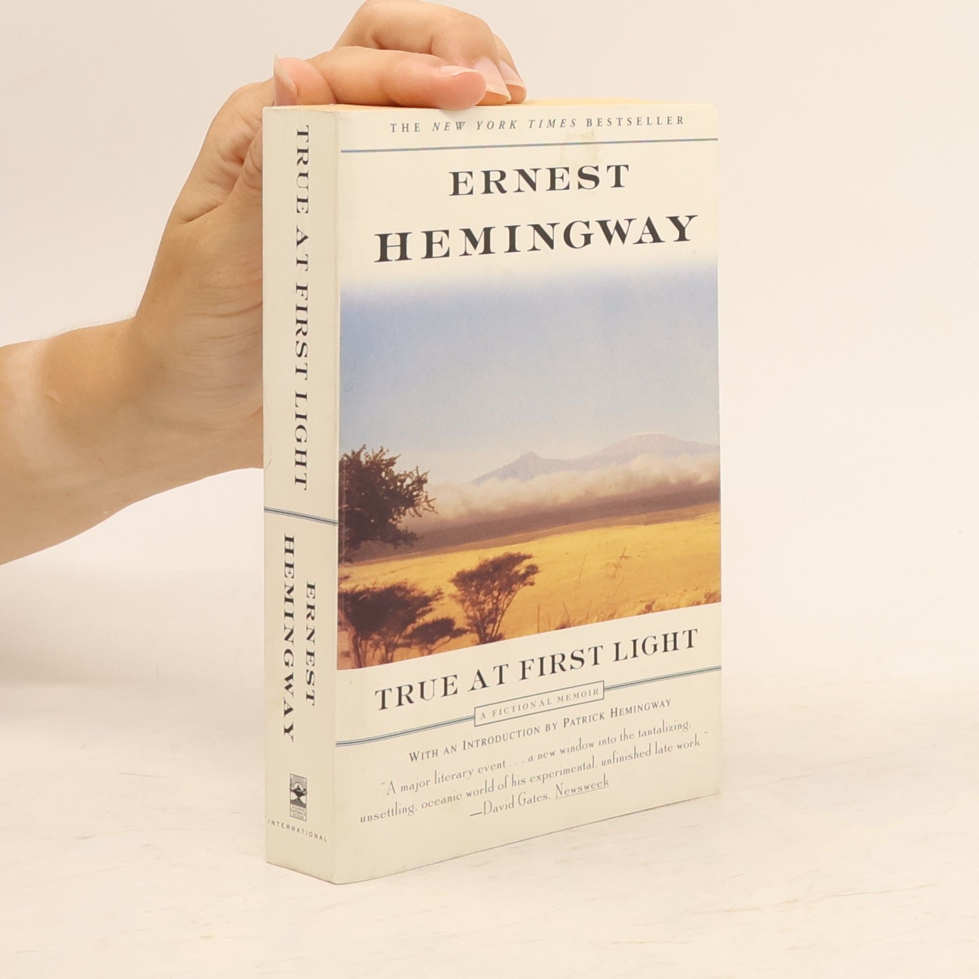 Ernest Hemingway True at First Light