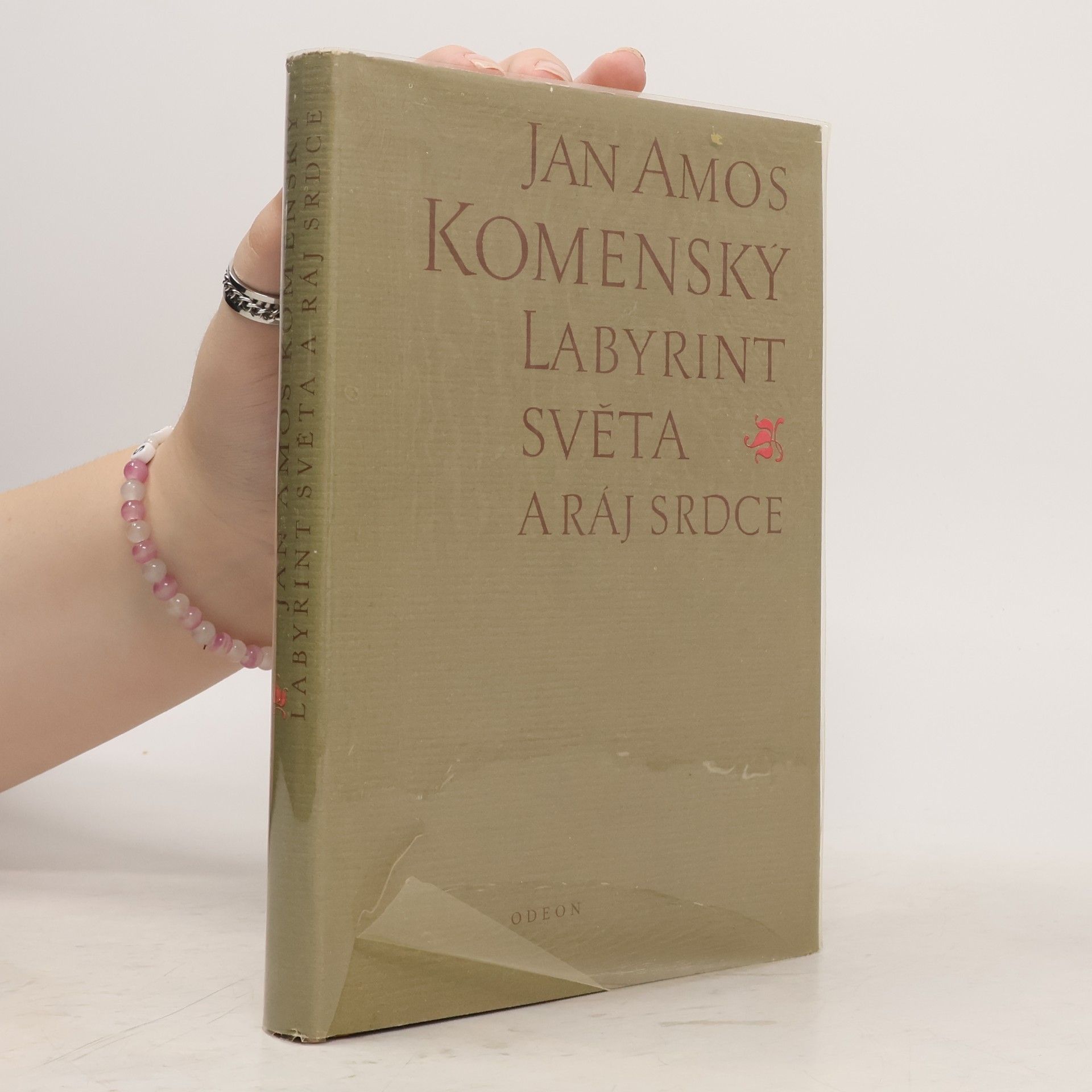 Jan Amos Komenský Labyrint světa a ráj srdce