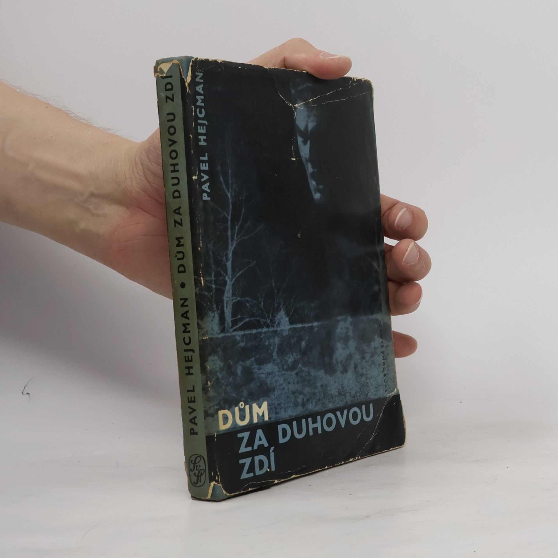 Pavel Hejcman Dům za duhovou zdí