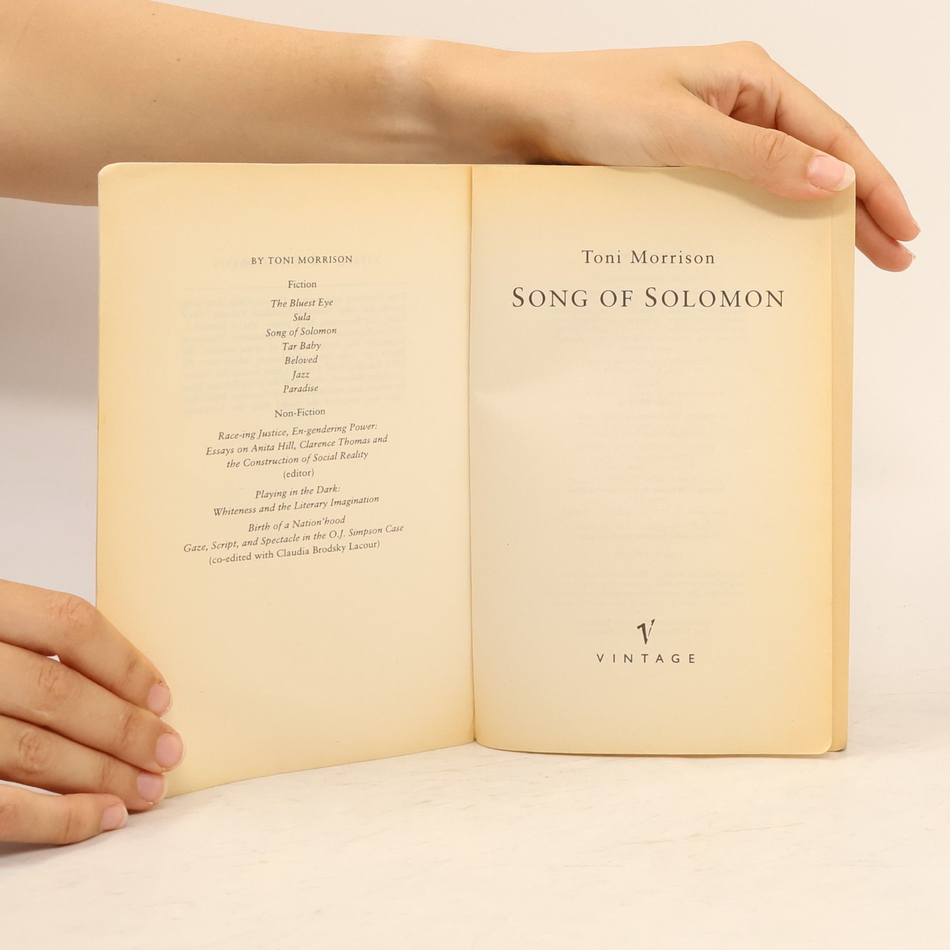 Toni Morrison Song of Solomon
