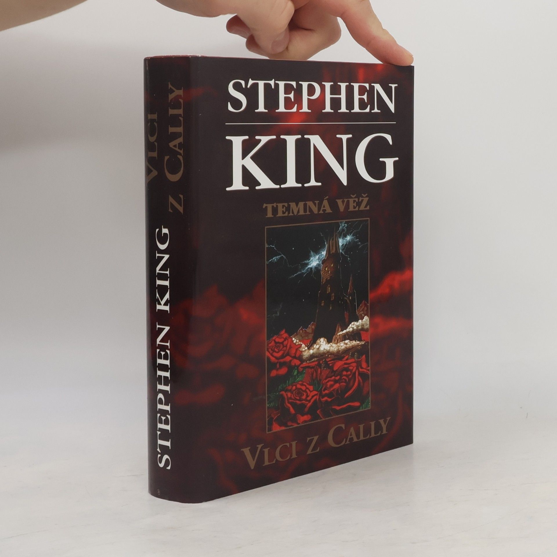 Stephen King Temná věž: Vlci z Cally