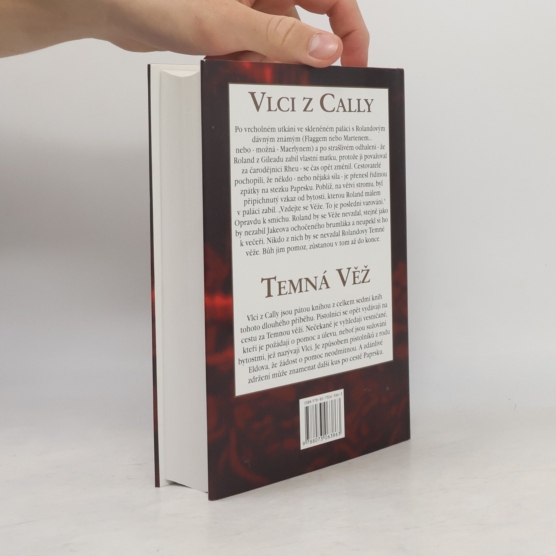 Stephen King Temná věž: Vlci z Cally