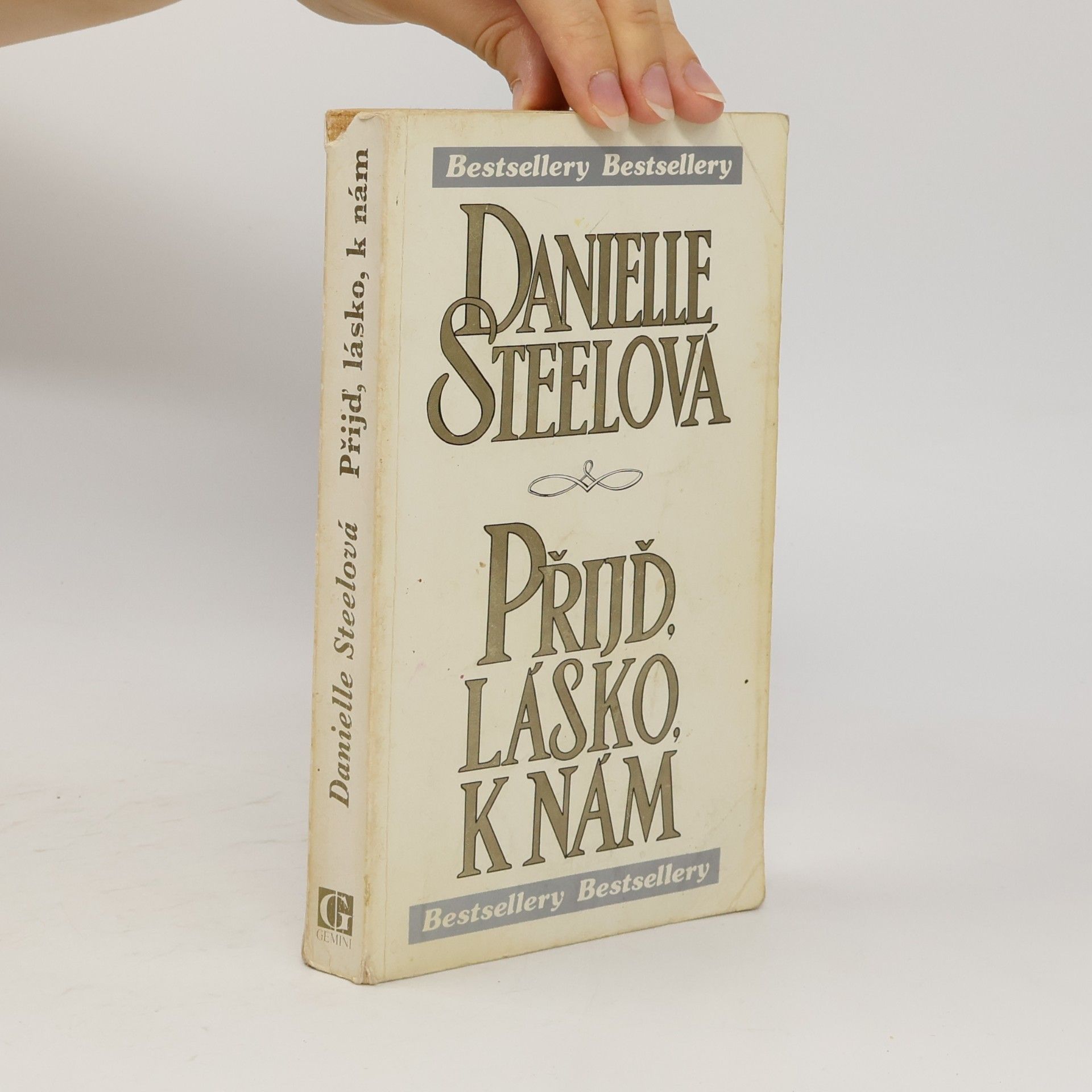 Danielle Steel Přijď, lásko, k nám