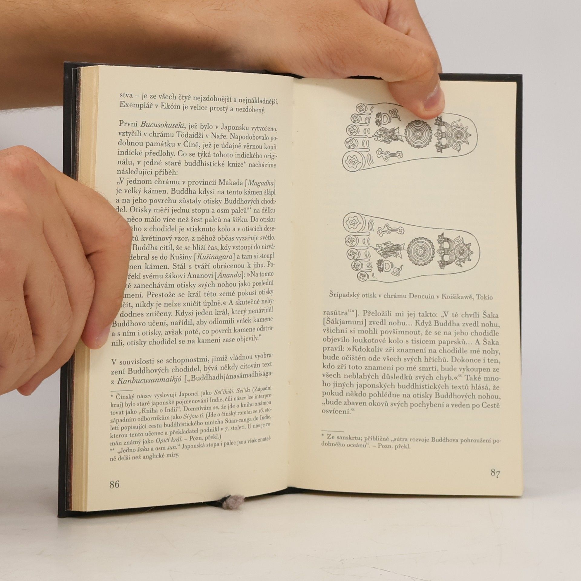 Lafcadio Hearn Hora lebek