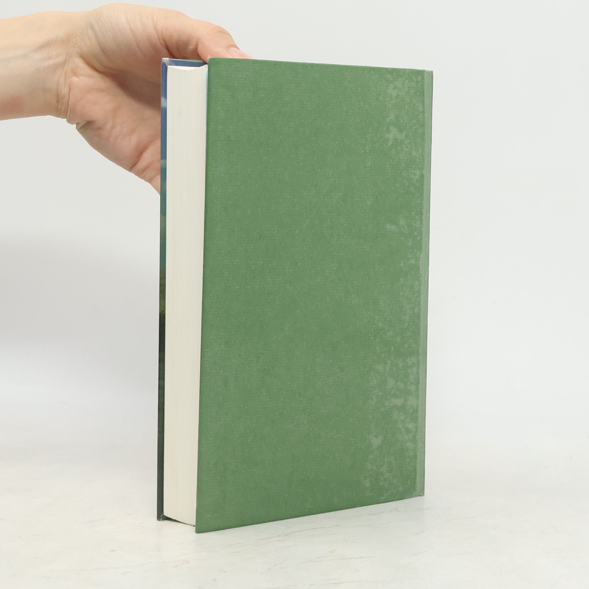Valentina Pattavina Die Buchhändlerin von Orvieto