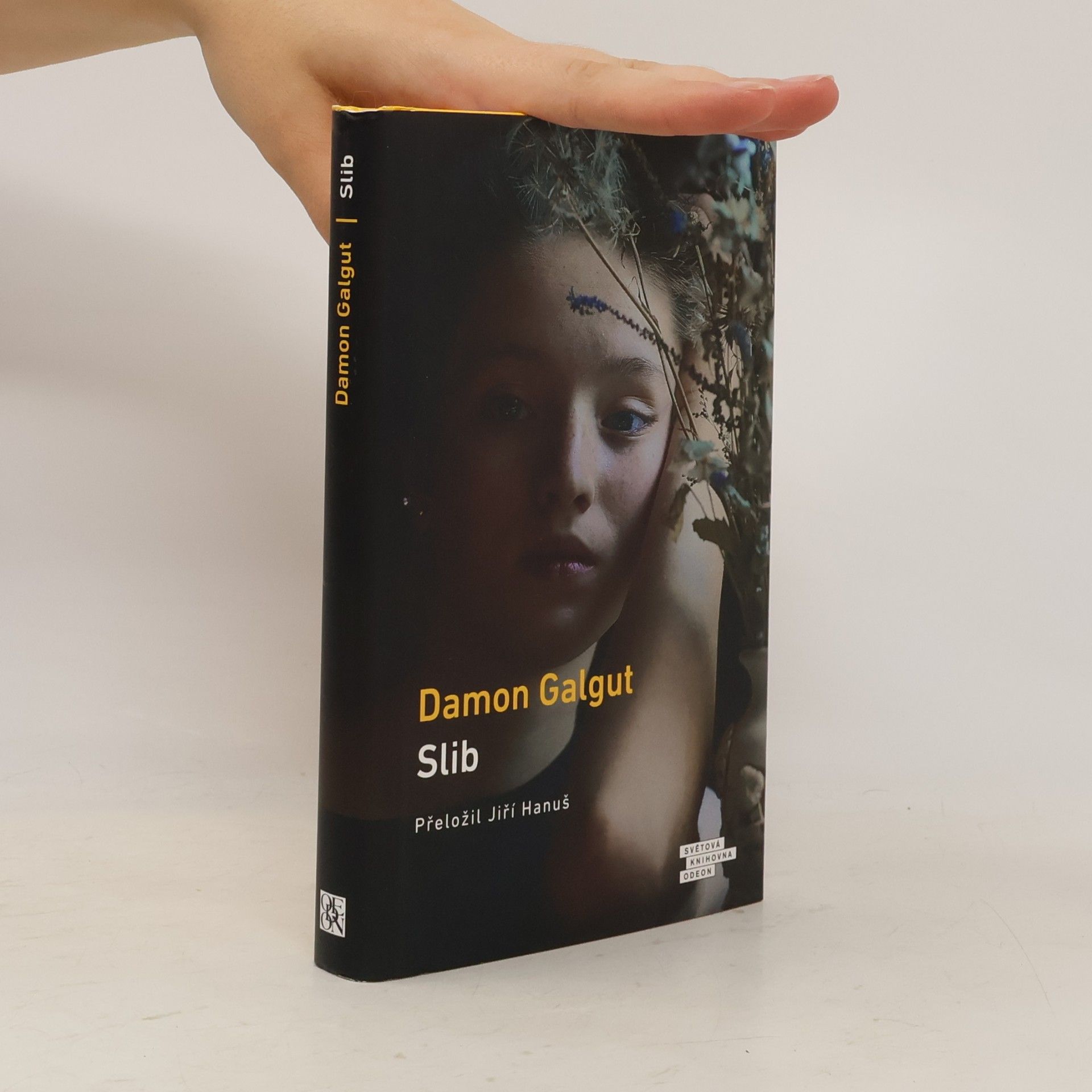 Damon Galgut Slib