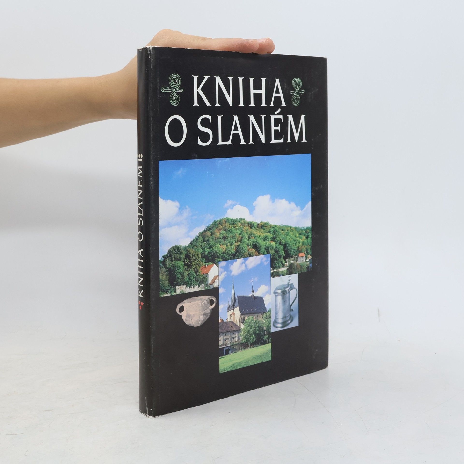 Kniha o Slaném