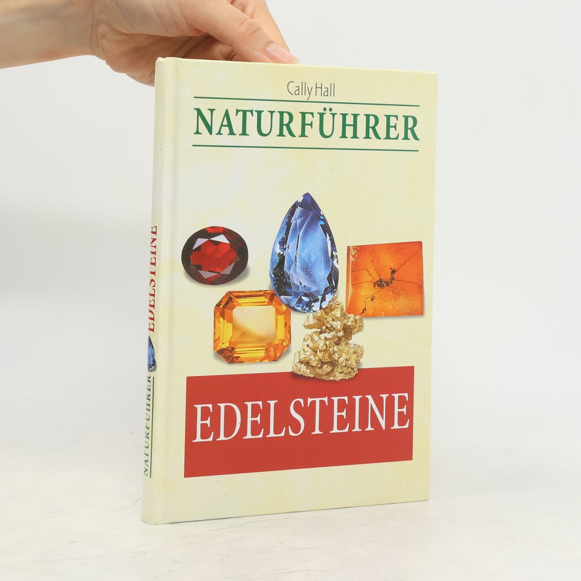 Naturführer. Edelsteine