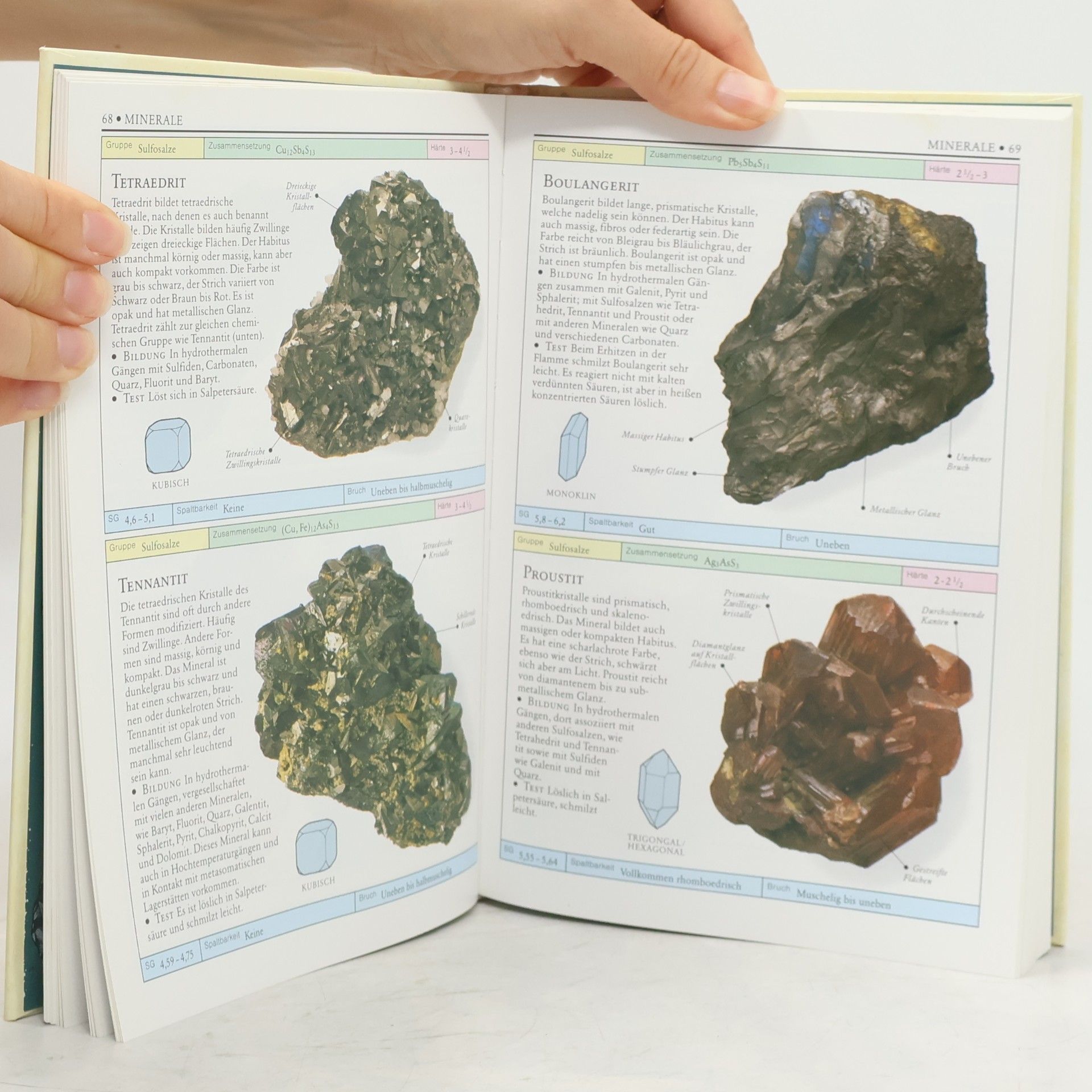 Chris Pellant Steine und Mineralien