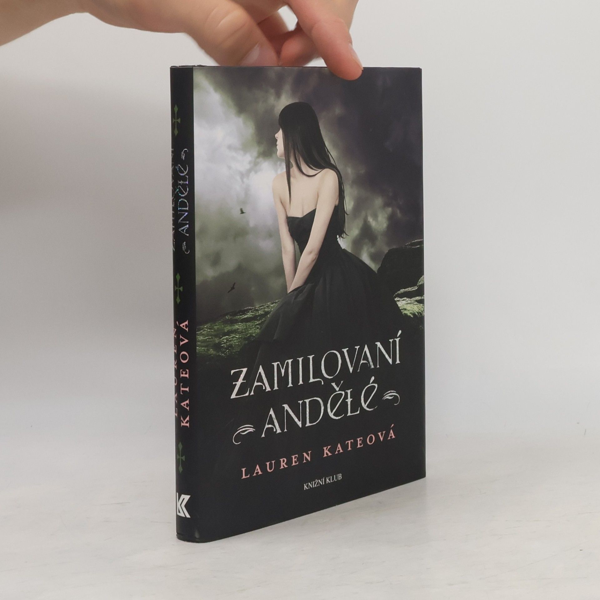 Lauren Kate Zamilovaní andělé