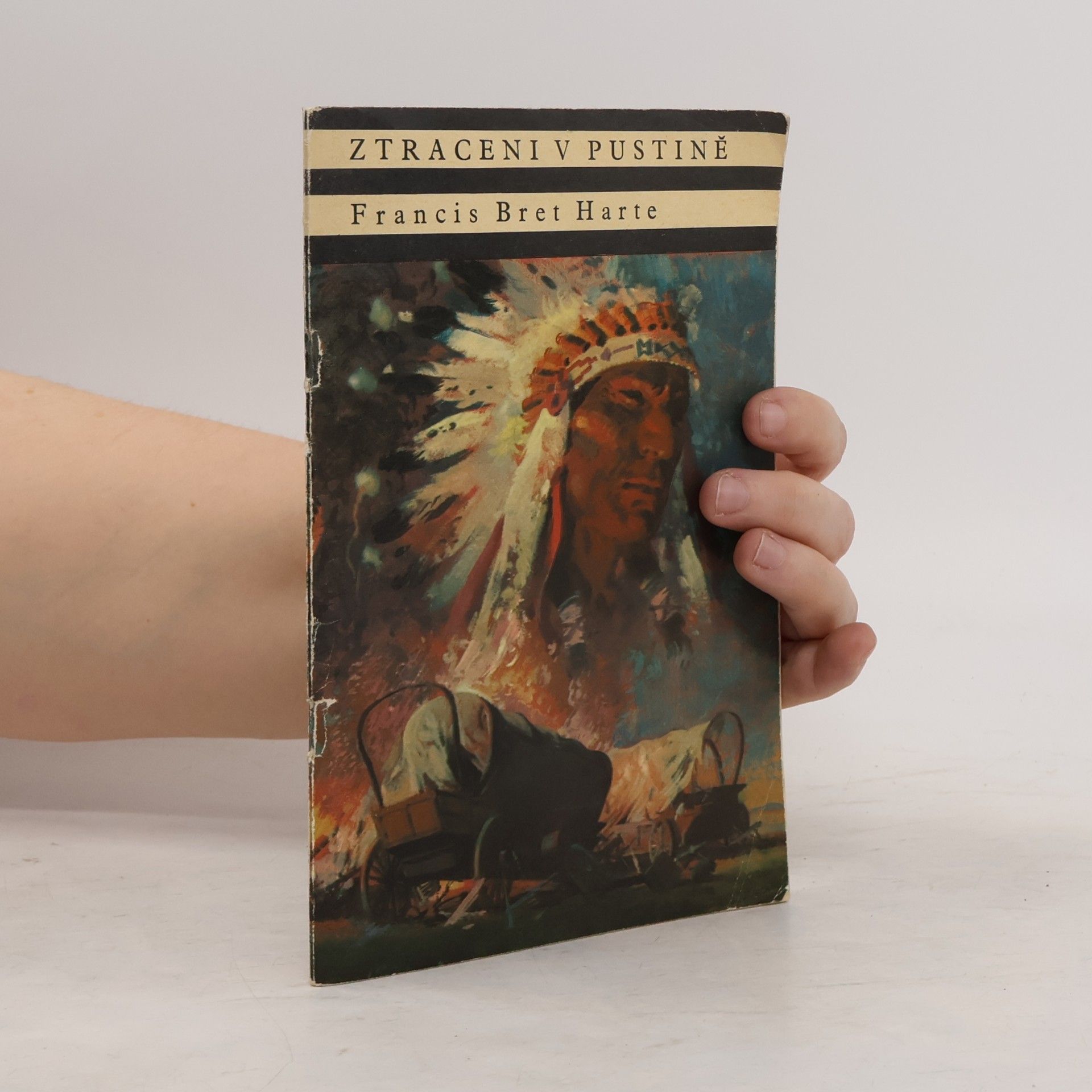 Francis Bret Harte Ztraceni v pustině