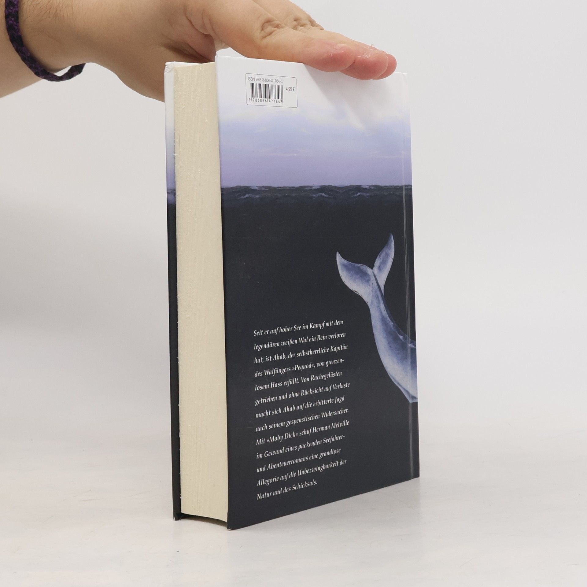 Herman Melville Moby Dick oder der weiße Wal