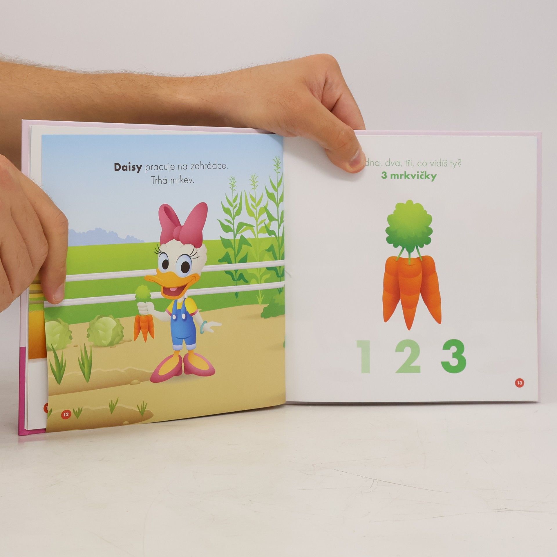 Walt Disney Moji první kamarádi 2. Kačer Donald