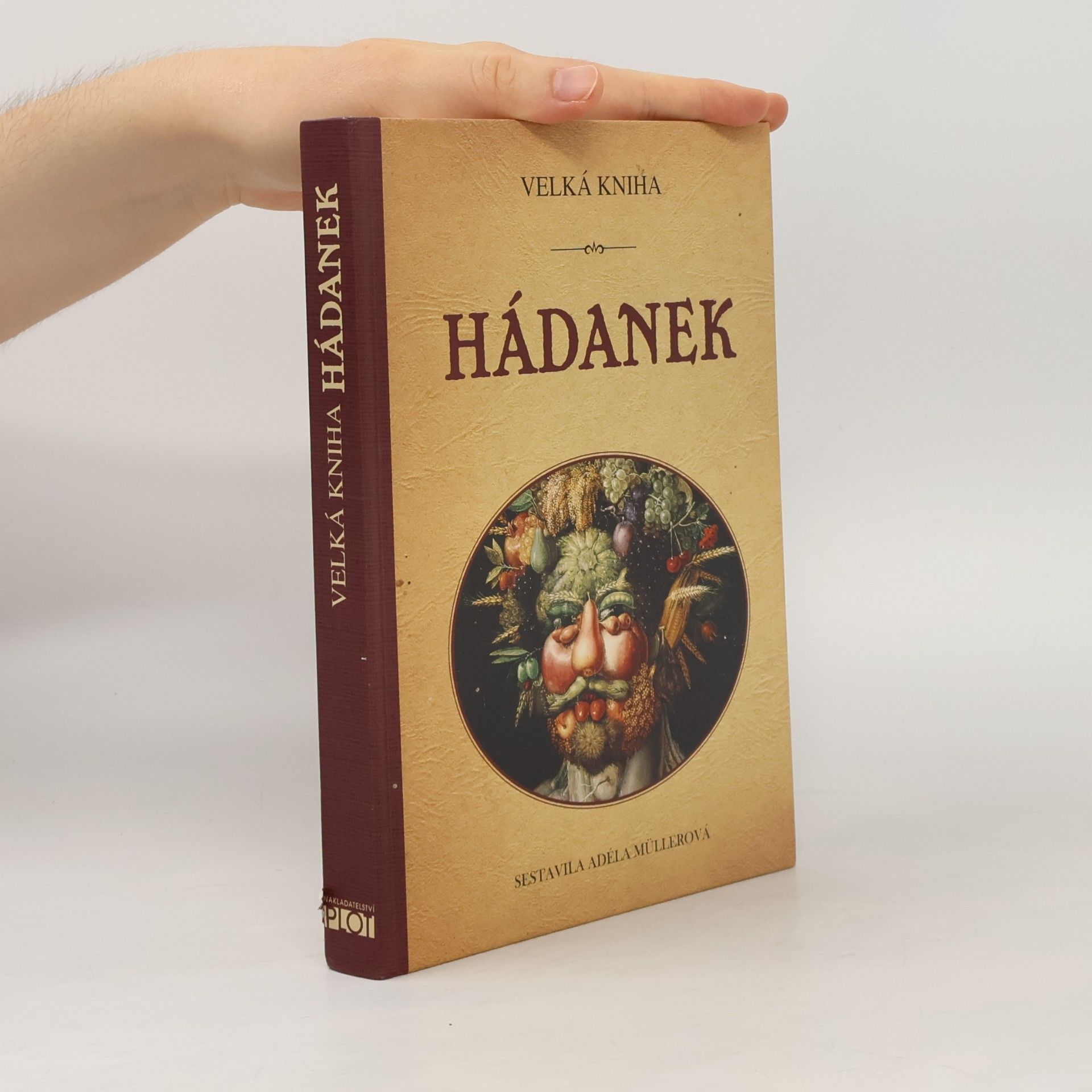 Adéla Müllerová Velká kniha hádanek