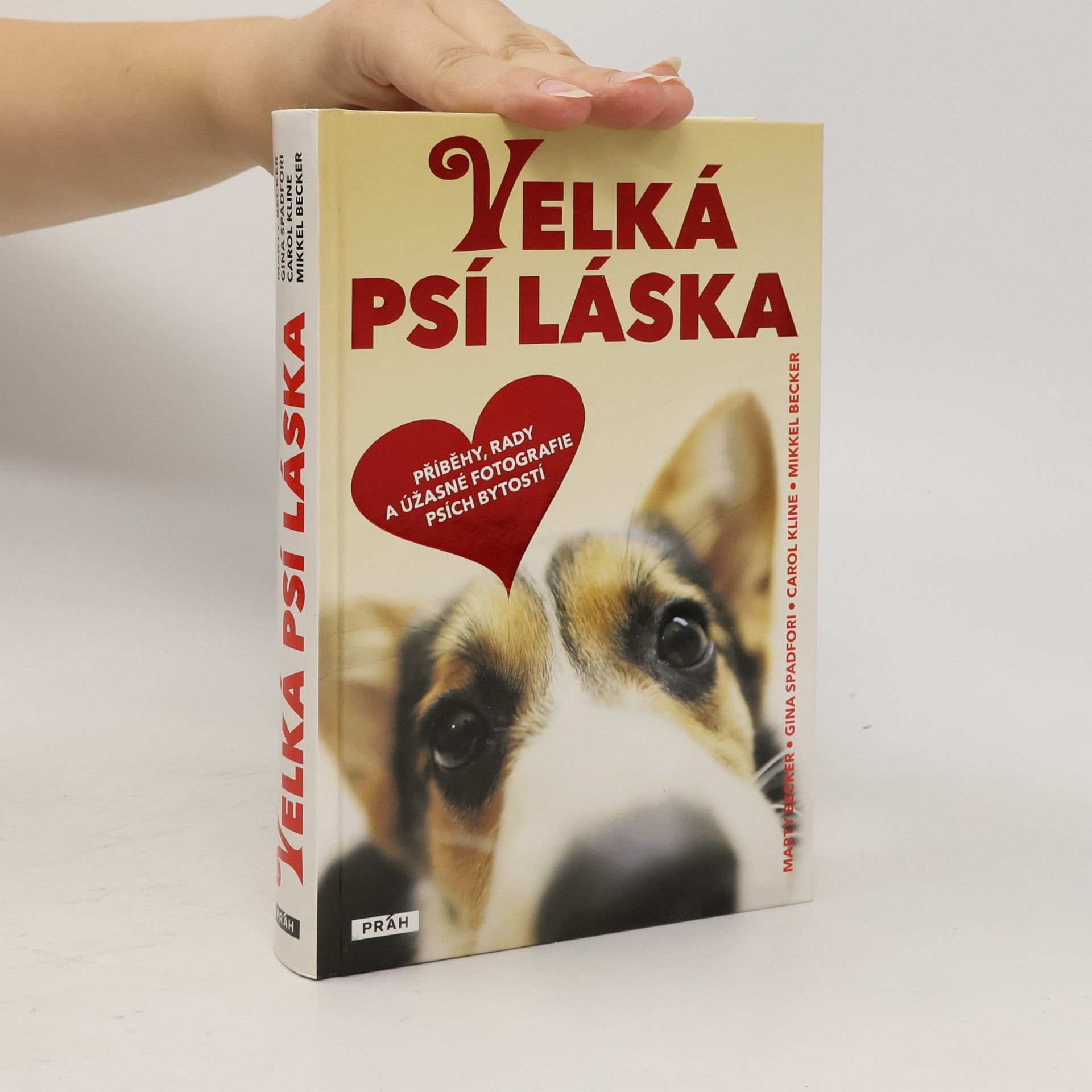 Marty Becker Velká psí láska: Příběhy, rady a úžasné fotografie psích bytostí