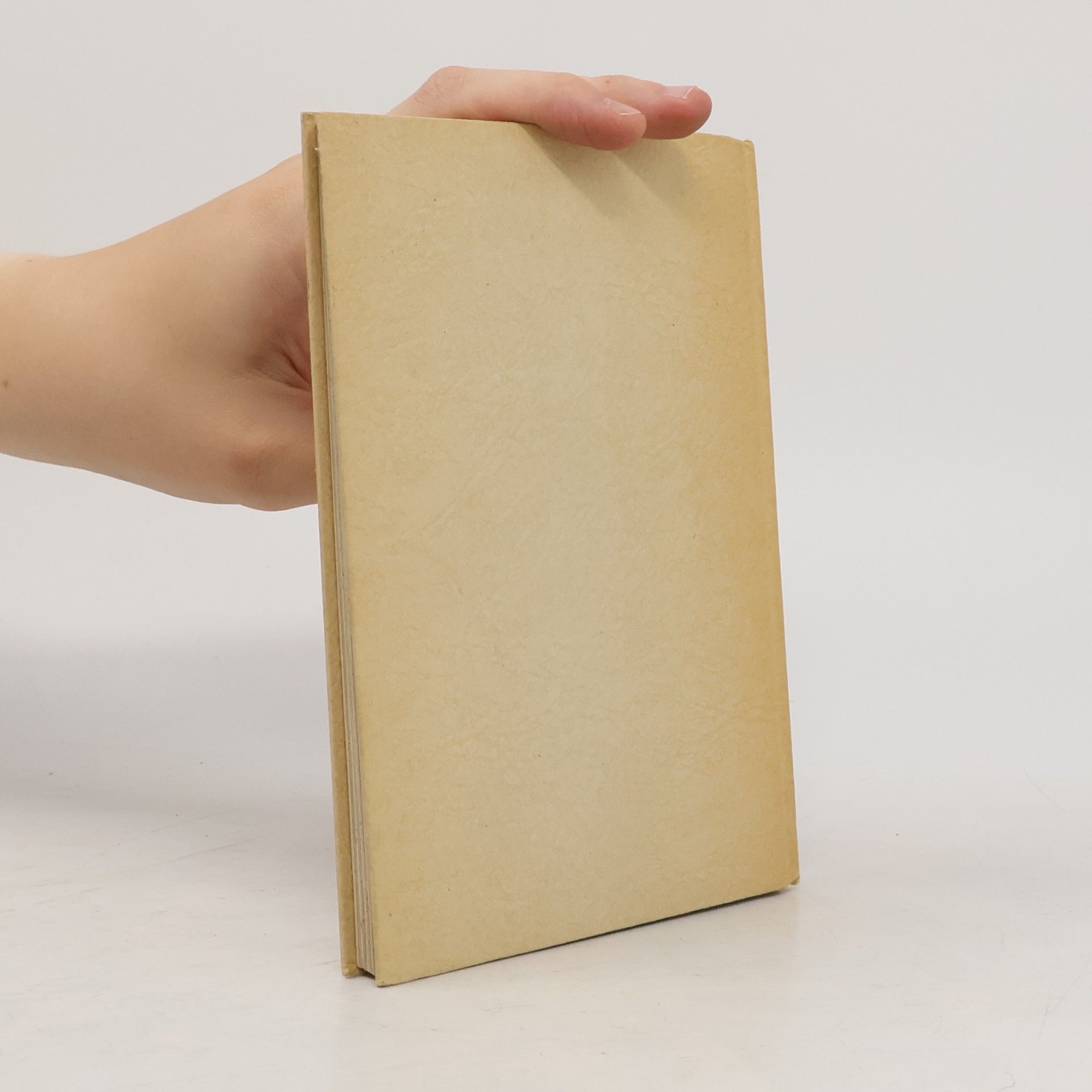 Karl Schramm Das kleine Buch von Mainz